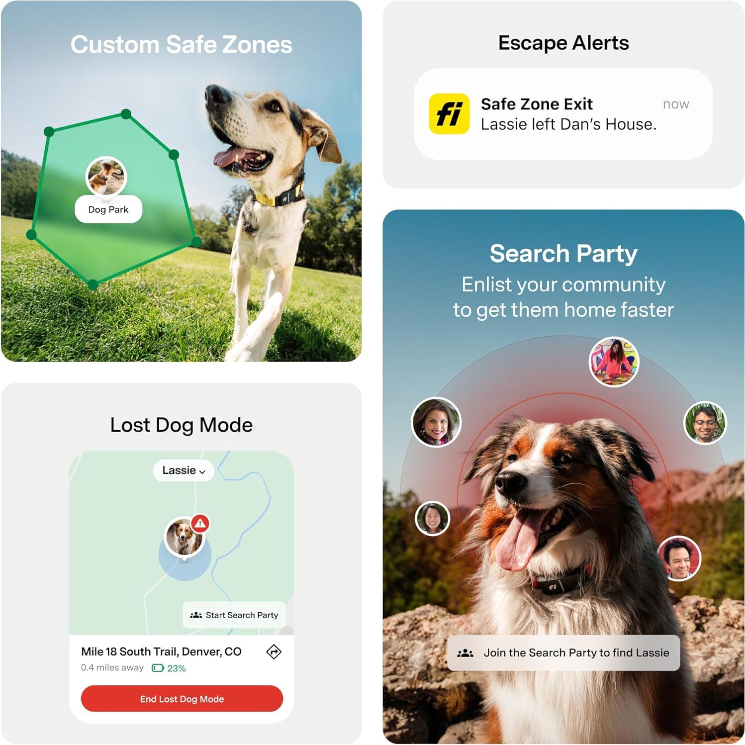 Collar Inteligente Fi 3+ para Perros Pequeños - GPS, Salud, Azul