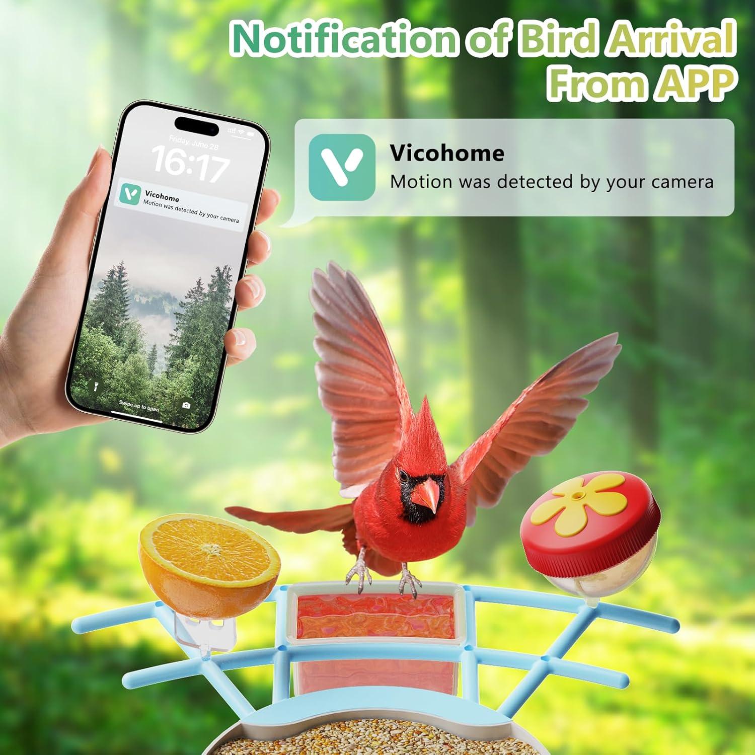 Comedero Inteligente Vingtok con Cámara HD para Aves