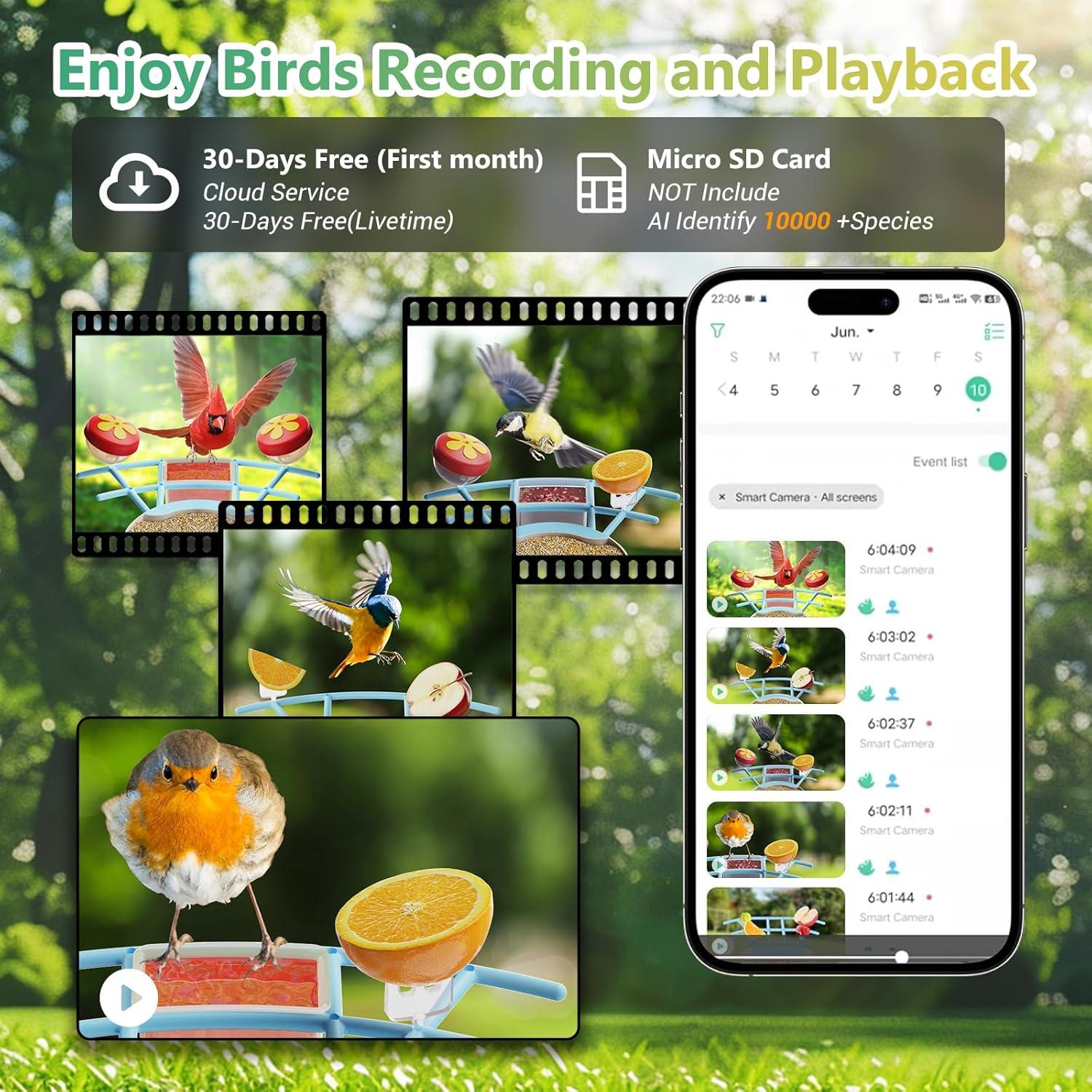 Comedero Inteligente Vingtok con Cámara HD para Aves