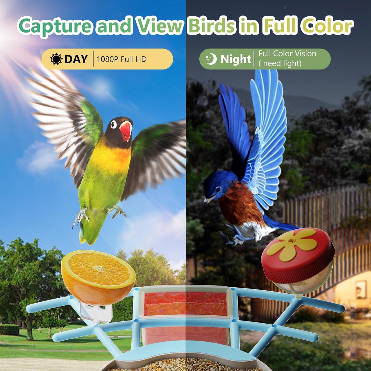 Comedero Inteligente Vingtok con Cámara HD para Aves