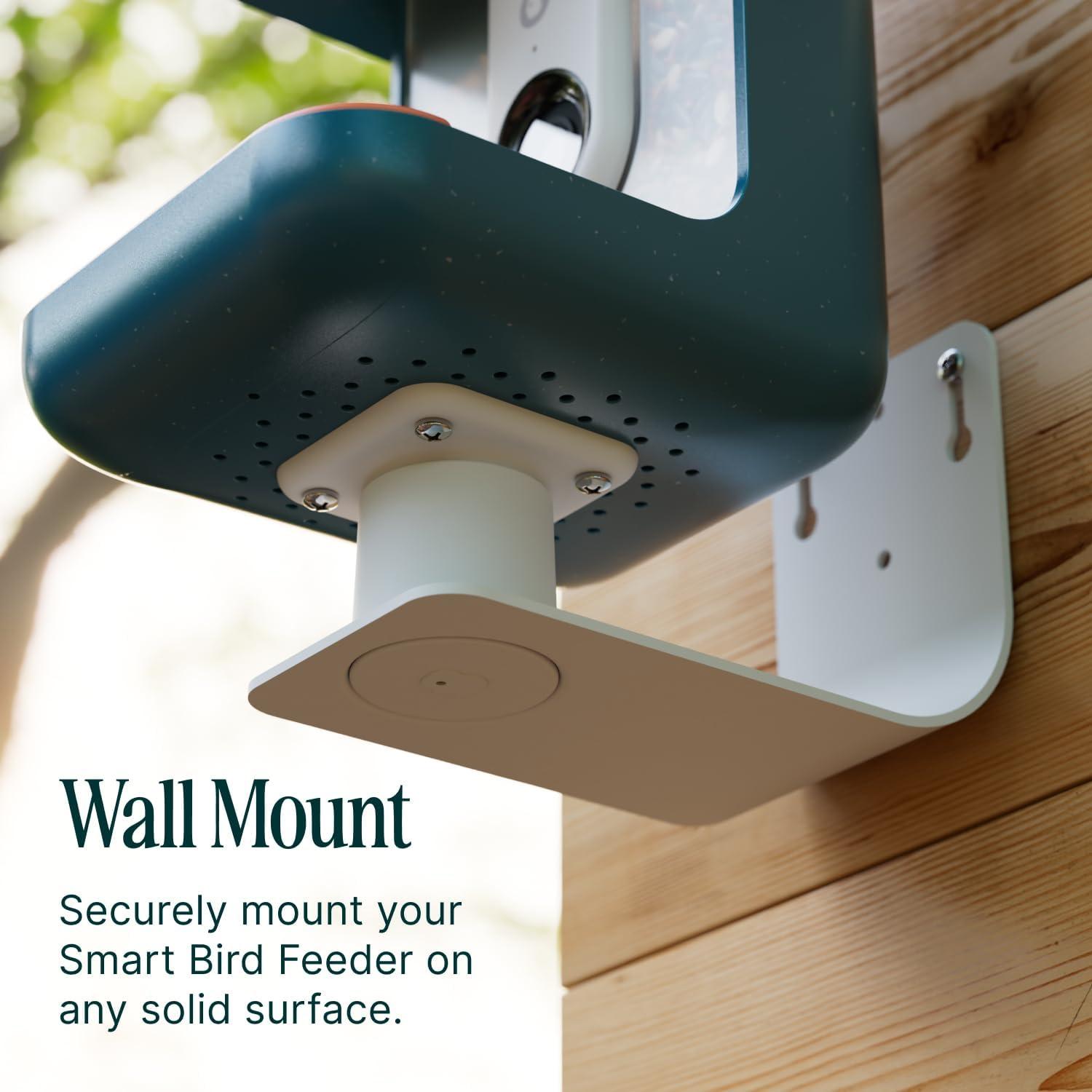 Soporte de Pared Bird Buddy - Accesorio para Comedero Aves