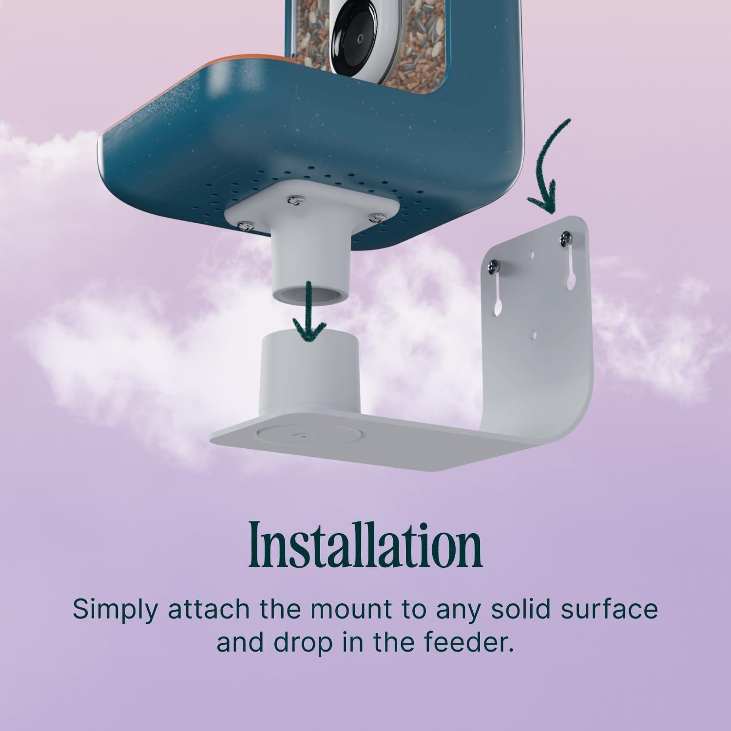 Soporte de Pared Bird Buddy - Accesorio para Comedero Aves