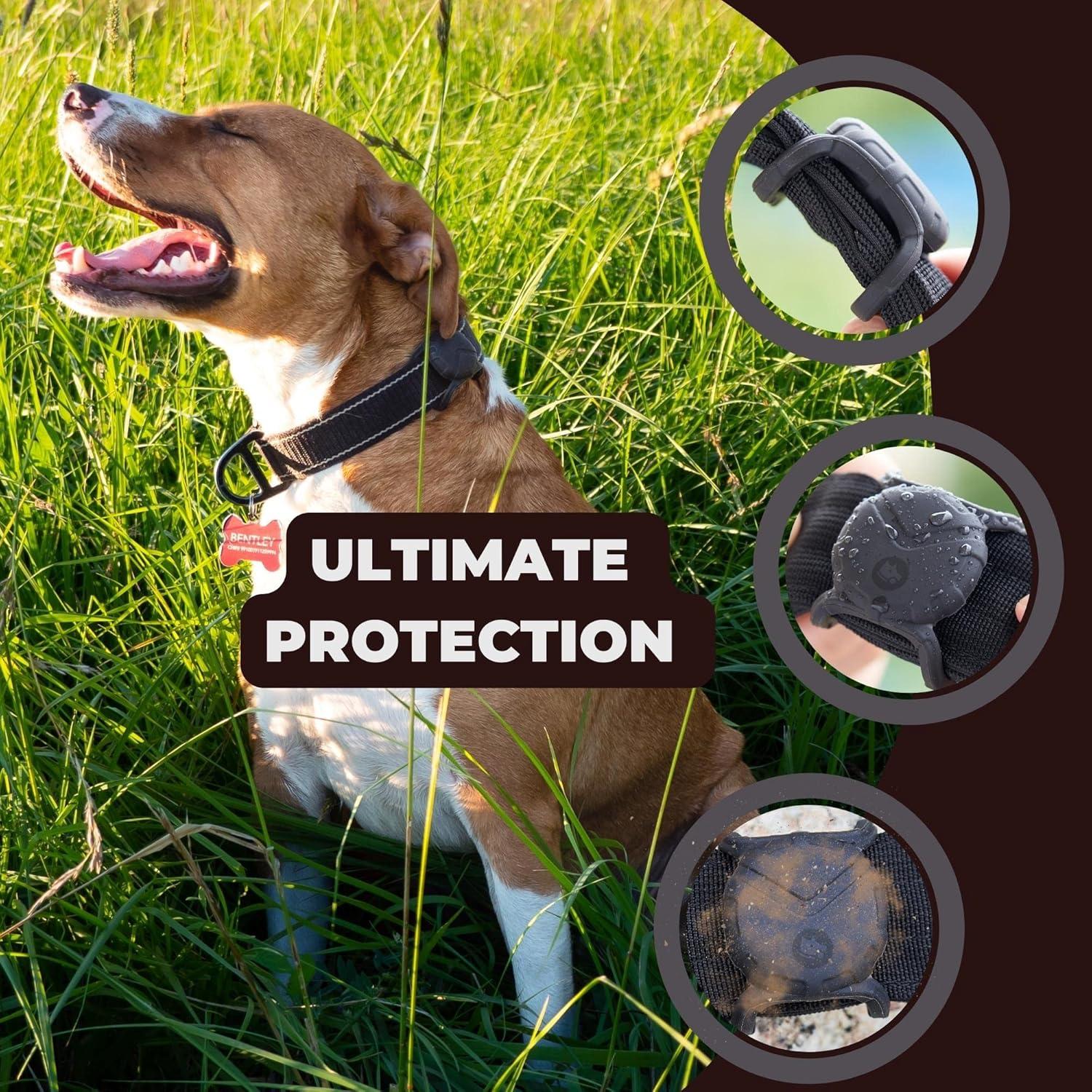 Soporte para Collar de Perro Fossa Airtag Negro - Protección GPS