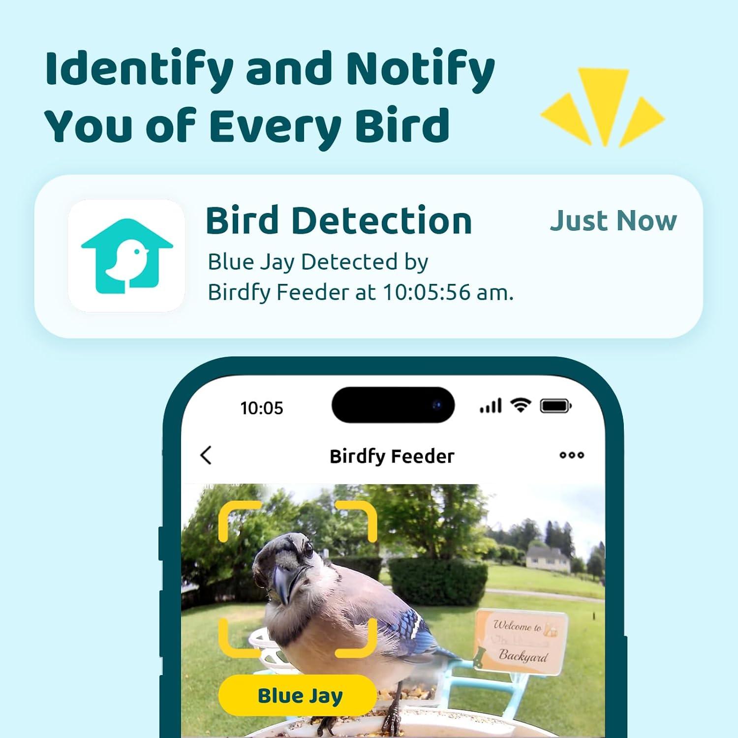 Comedero Inteligente NETVUE Birdfy con Cámara 1.5L Azul
