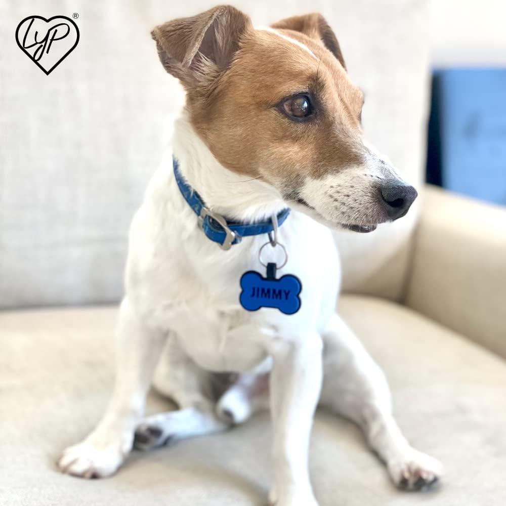 Placa de Identificación Silenciosa Love Your Pets Hueso Naranja