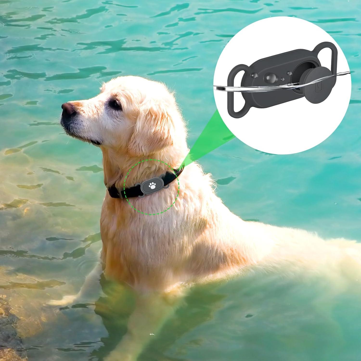 Soporte para Collar de Perro Galaxy SmartTag2 - 2 Piezas