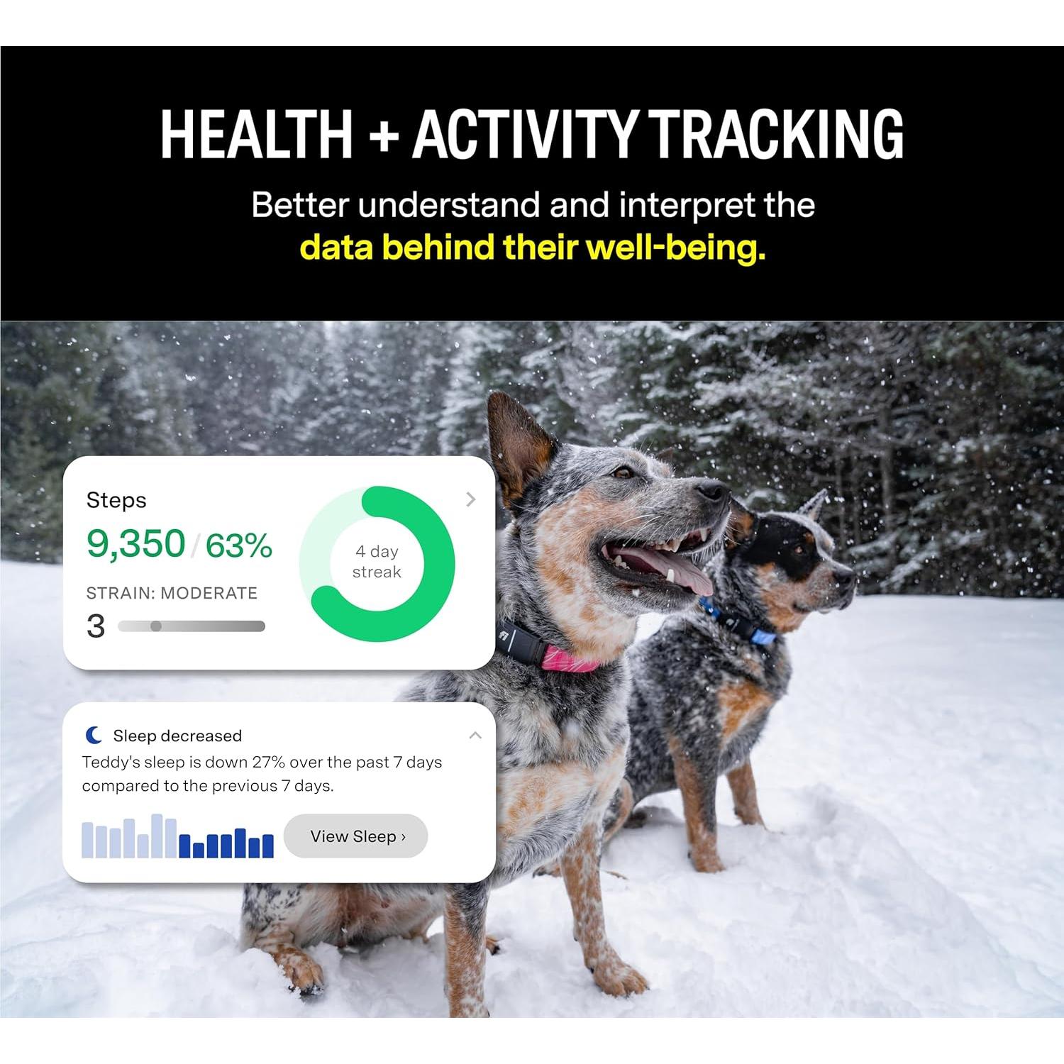 Collar de rastreo GPS para perros Fi Series 3 - Azul Grande