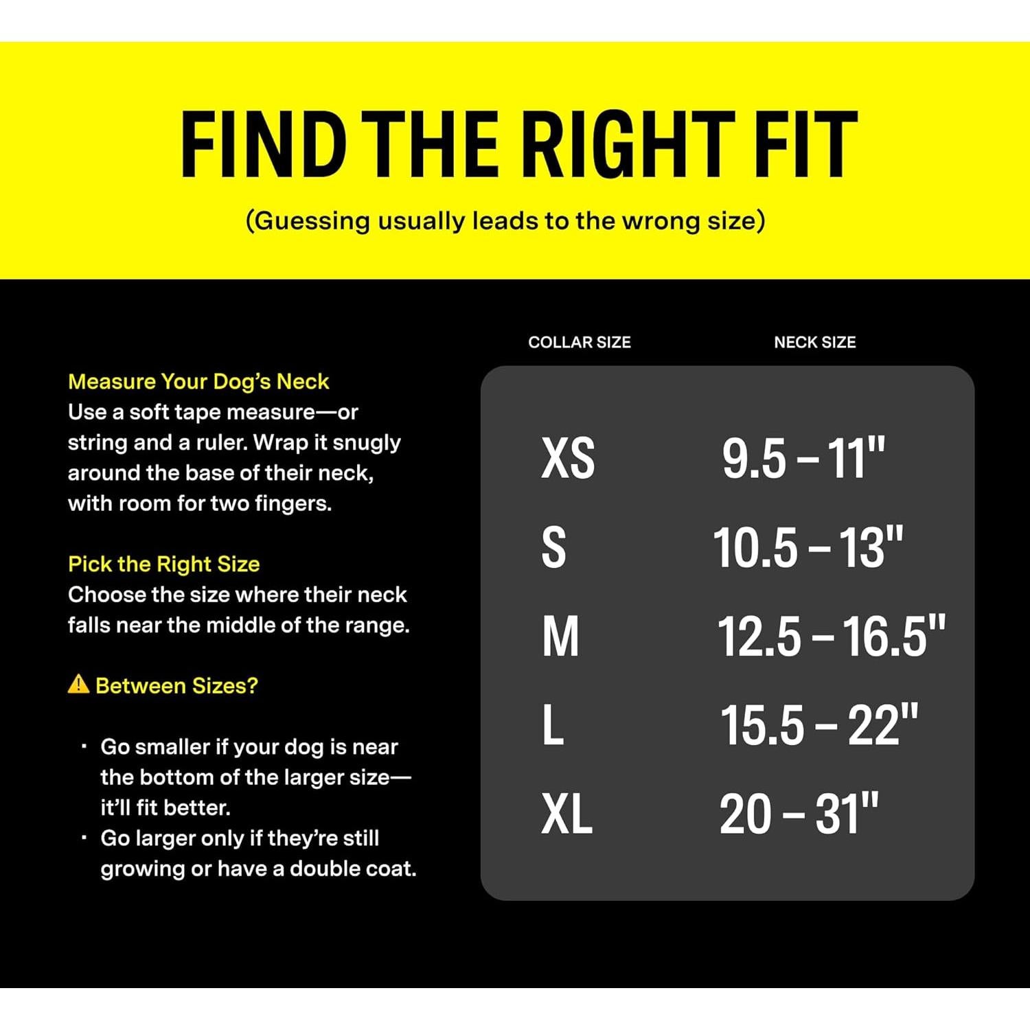 Collar de rastreo GPS para perros Fi Series 3 - Azul Grande