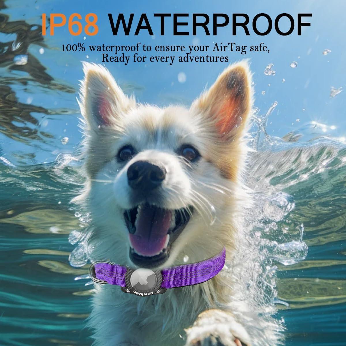 Collar para Perro AgoumLux AirTag S Púrpura Impermeable