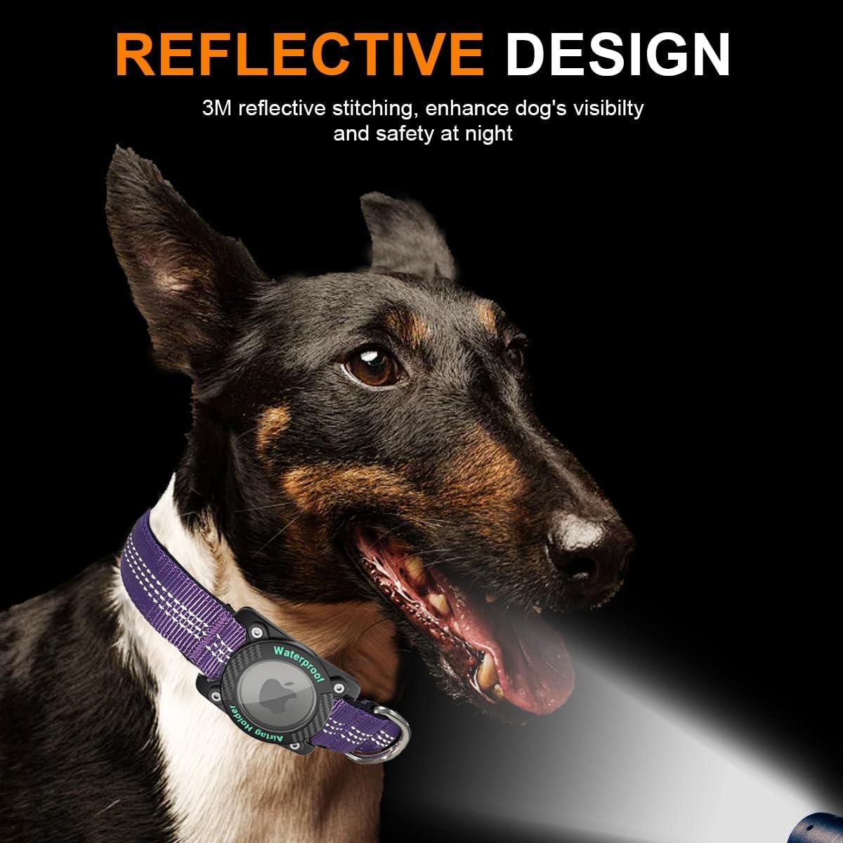 Collar para Perro AgoumLux AirTag S Púrpura Impermeable