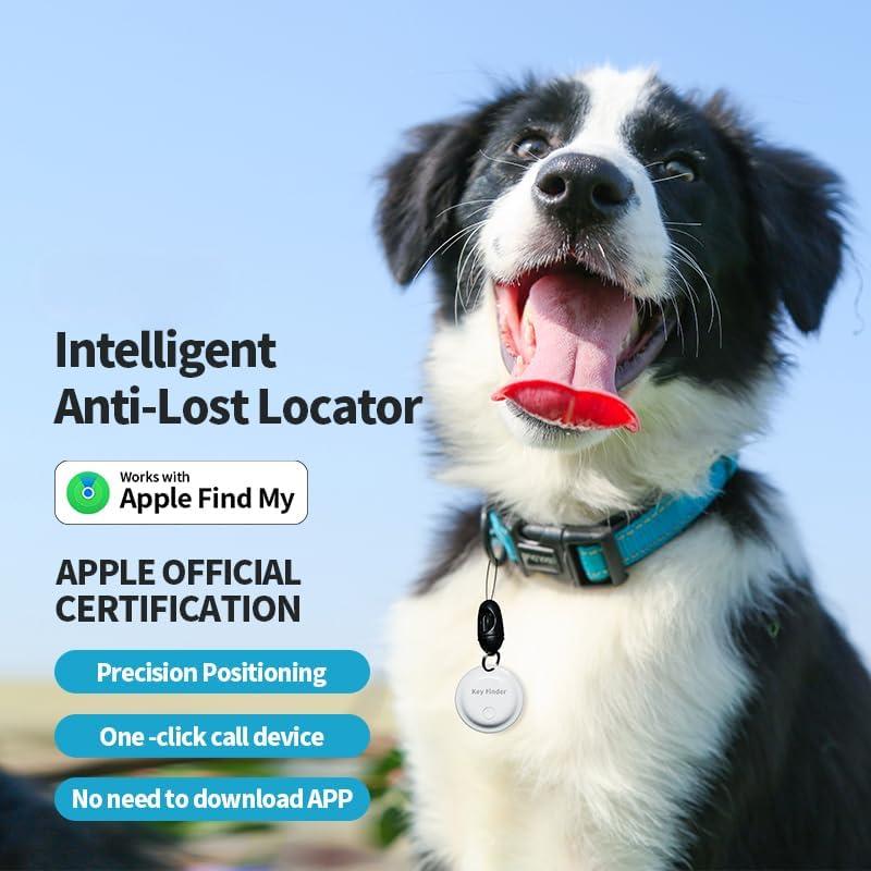 Rastreador Inalámbrico Bluetooth AccuGPS Anti-Pérdida x5