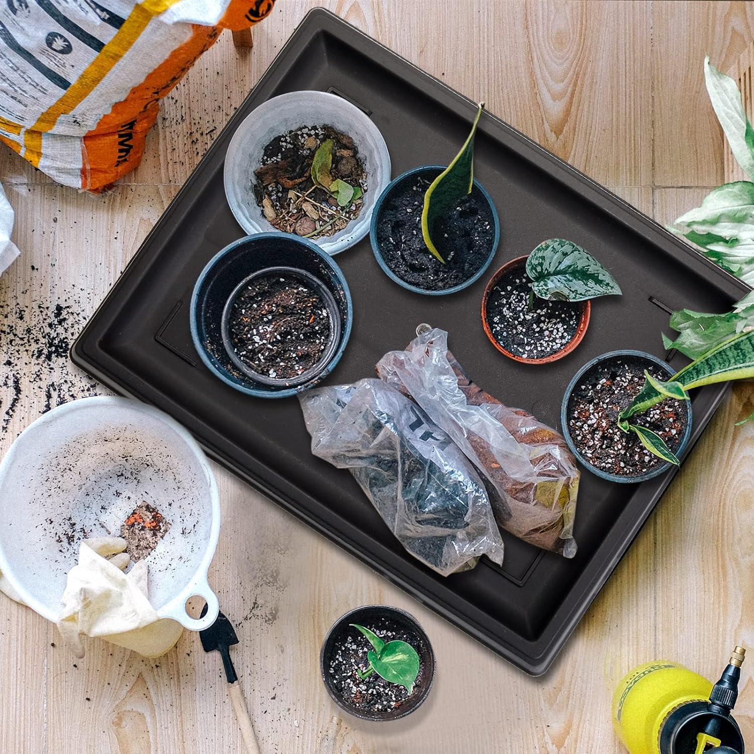 Bandeja de Humedad Pinkunn para Bonsai 39.8x33 cm 2 Pcs