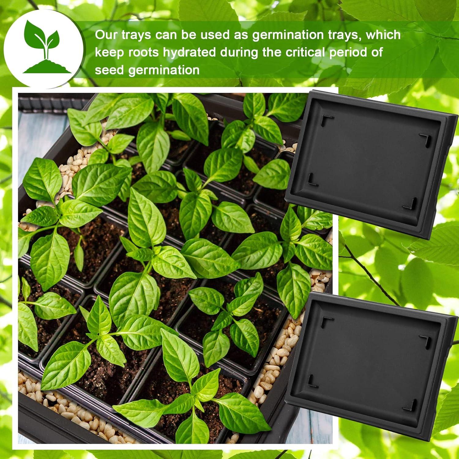 Bandeja de Humedad Pinkunn para Bonsai 39.8x33 cm 2 Pcs