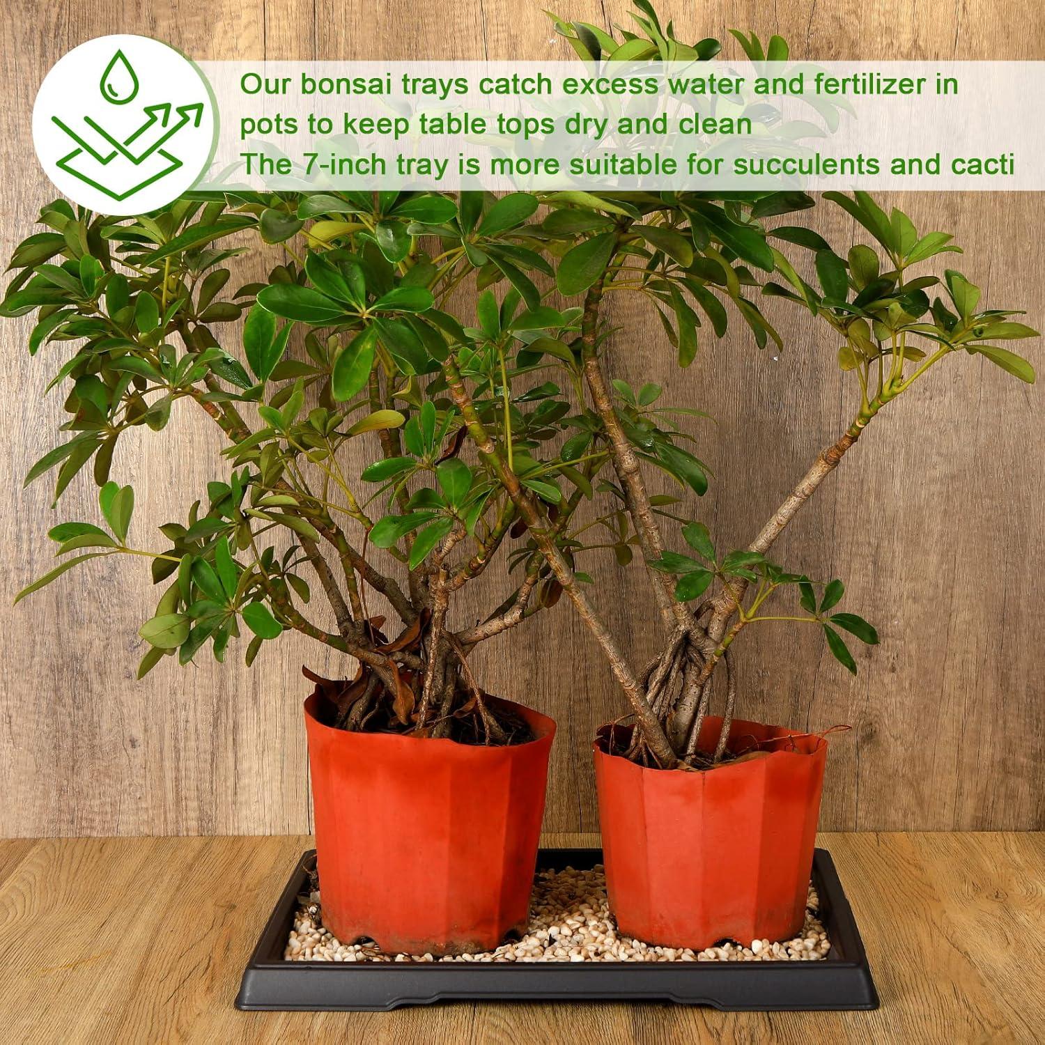 Bandeja de Humedad Pinkunn para Bonsai 39.8x33 cm 2 Pcs