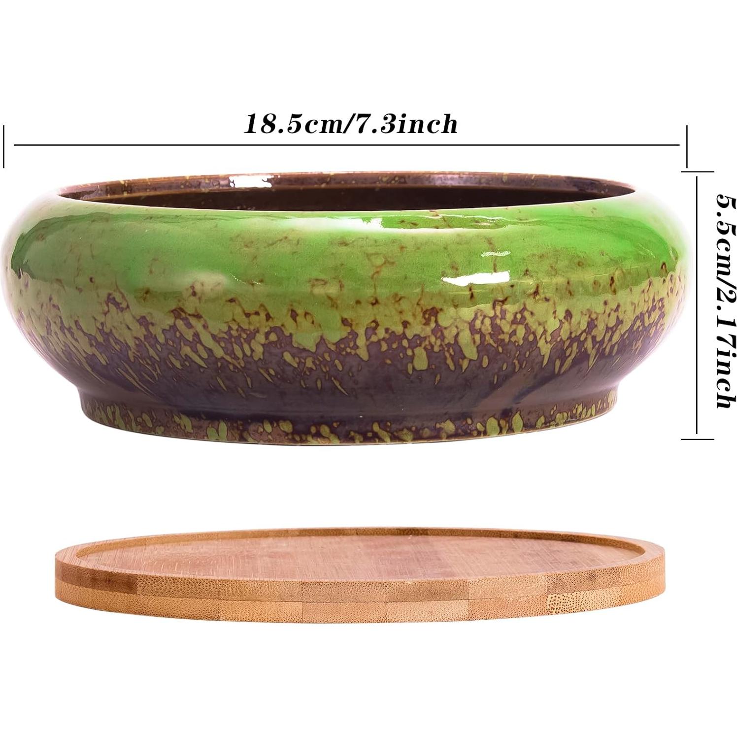 Macetas Suculentas ARTKETTY 2 PCS Cerámica 18.54 cm