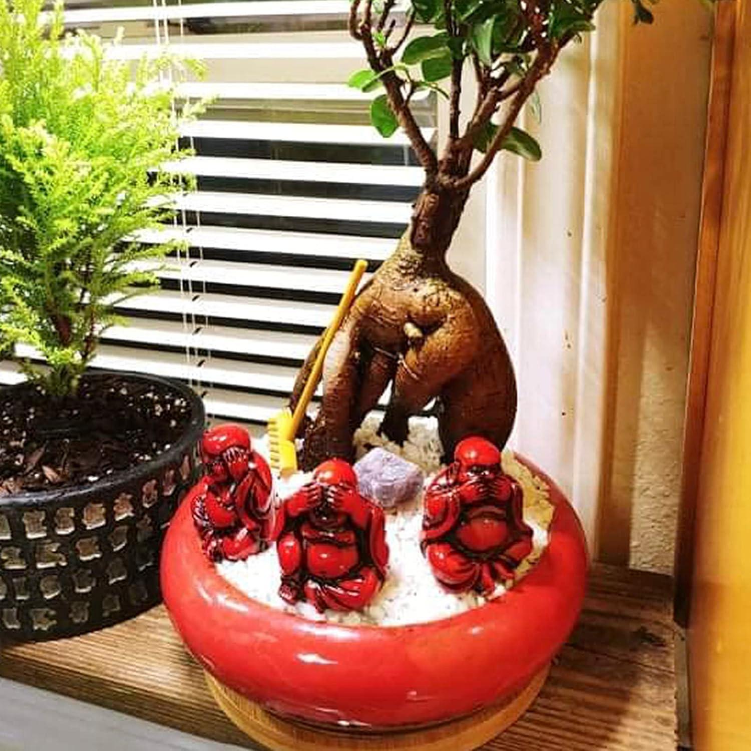 Macetas Suculentas ARTKETTY 2 PCS Cerámica 18.54 cm