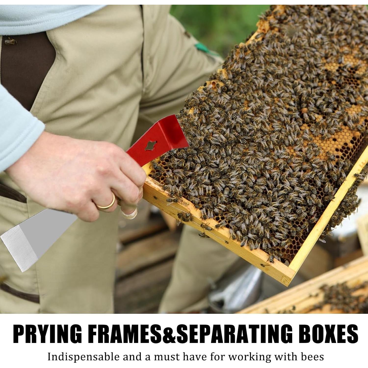 Juego de 2 herramientas FICARTS para apicultores - Acero inoxidable