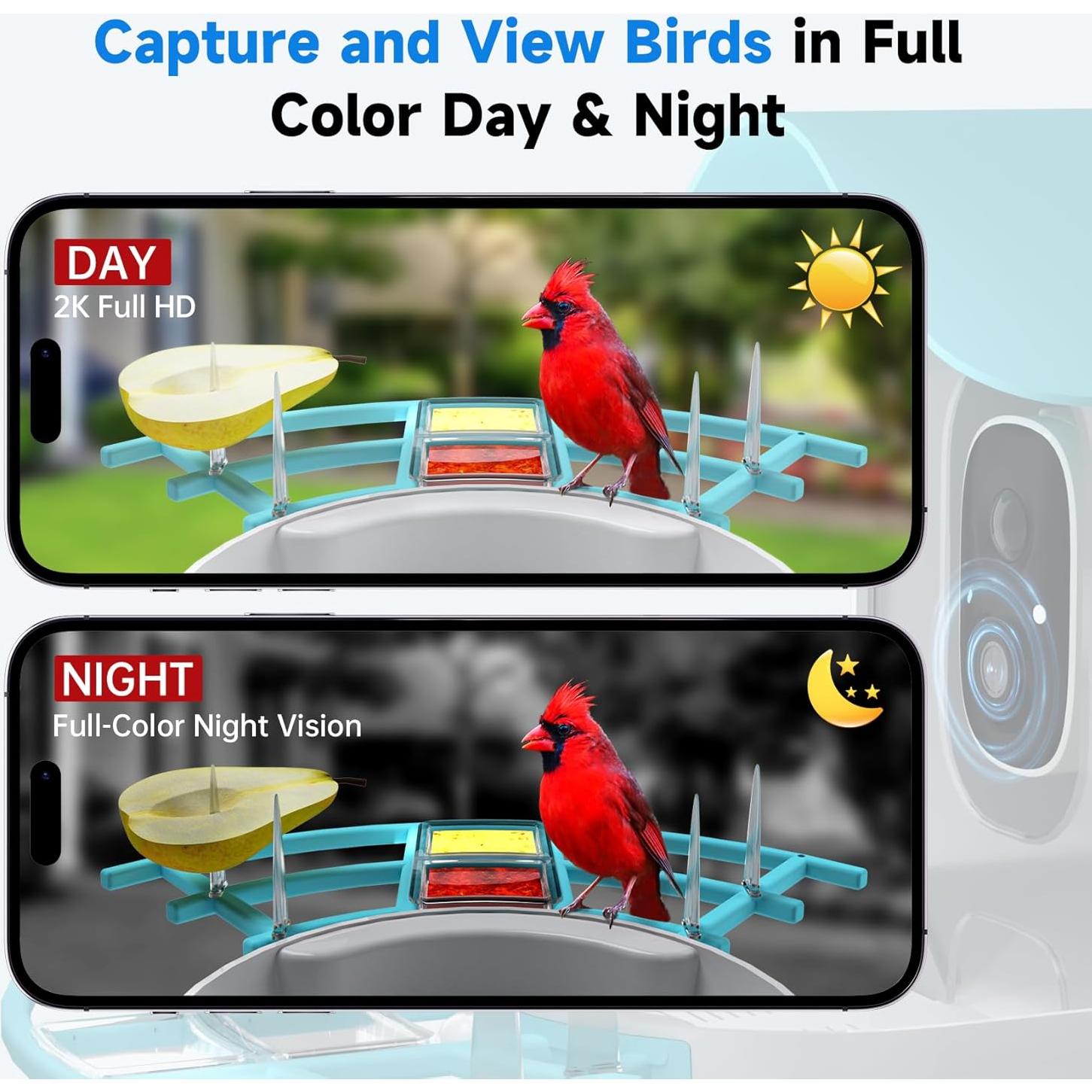 Comedero para Aves DOCOON con Cámara 2K y Solar