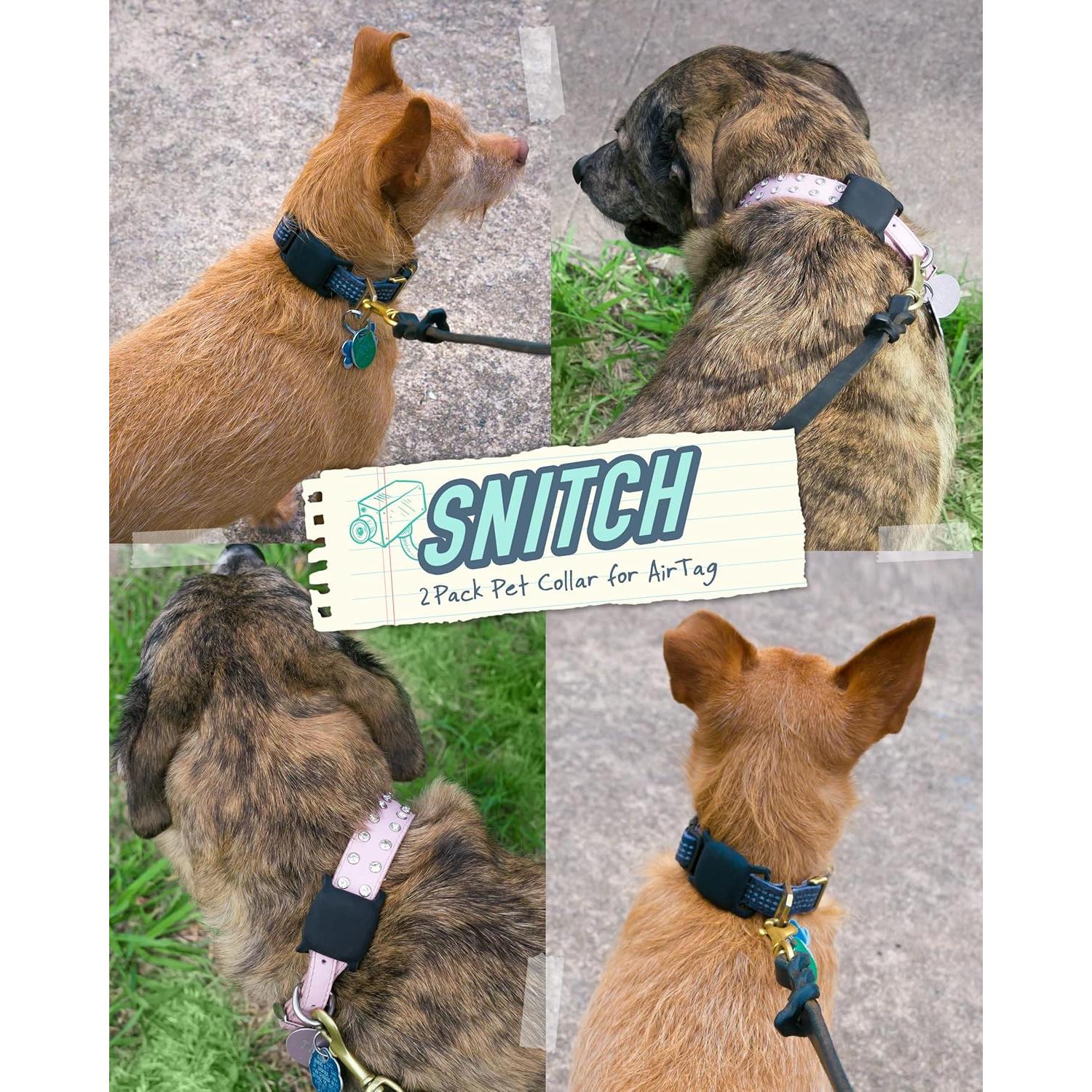 Soporte de Collar para Perros Smartish AirTag - Paquete de 2