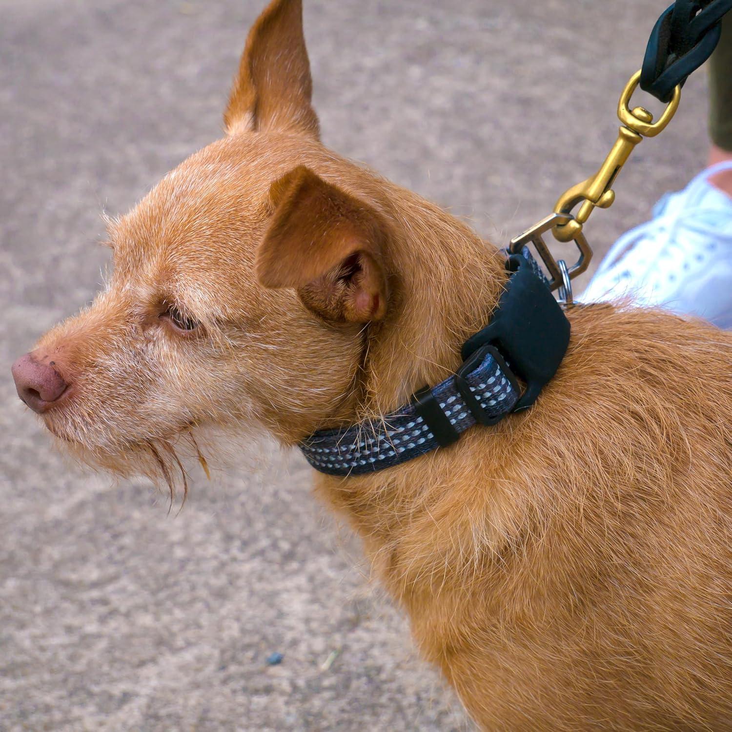 Soporte de Collar para Perros Smartish AirTag - Paquete de 2