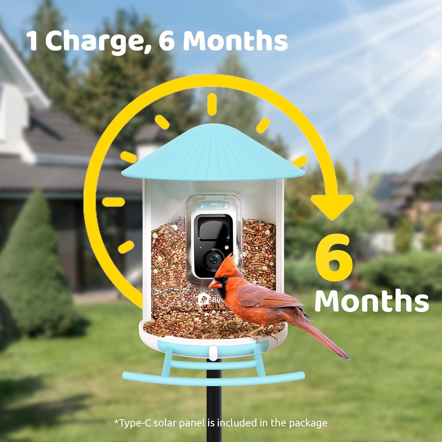 Alimentador de Aves Inteligente NETVUE Birdfy AI Solar 1.5L