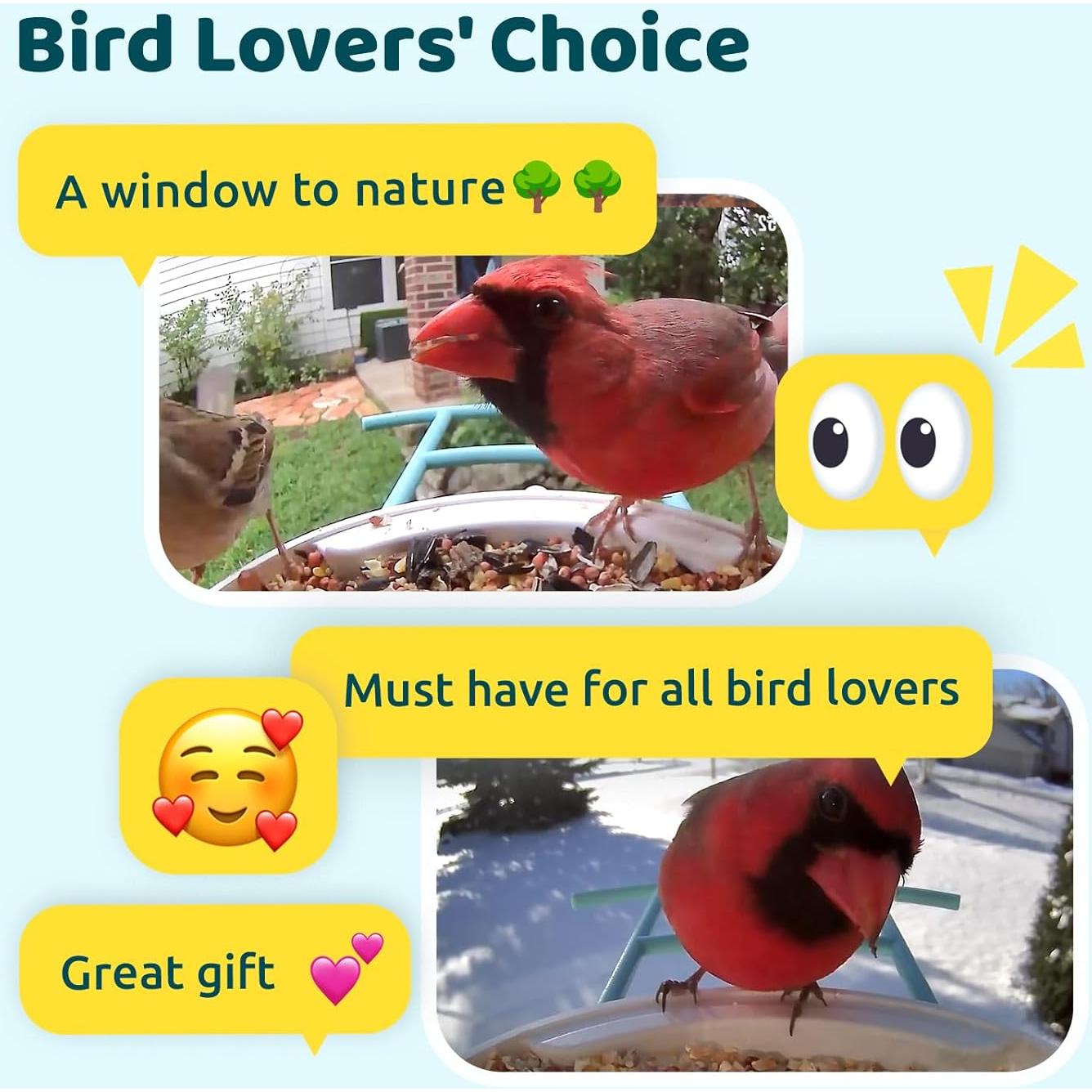 Alimentador de Aves Inteligente NETVUE Birdfy AI Solar 1.5L