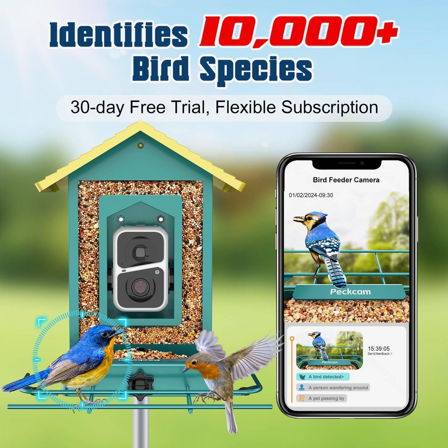 Comedero de Aves PeckCam Metal con Cámara 2K Solar