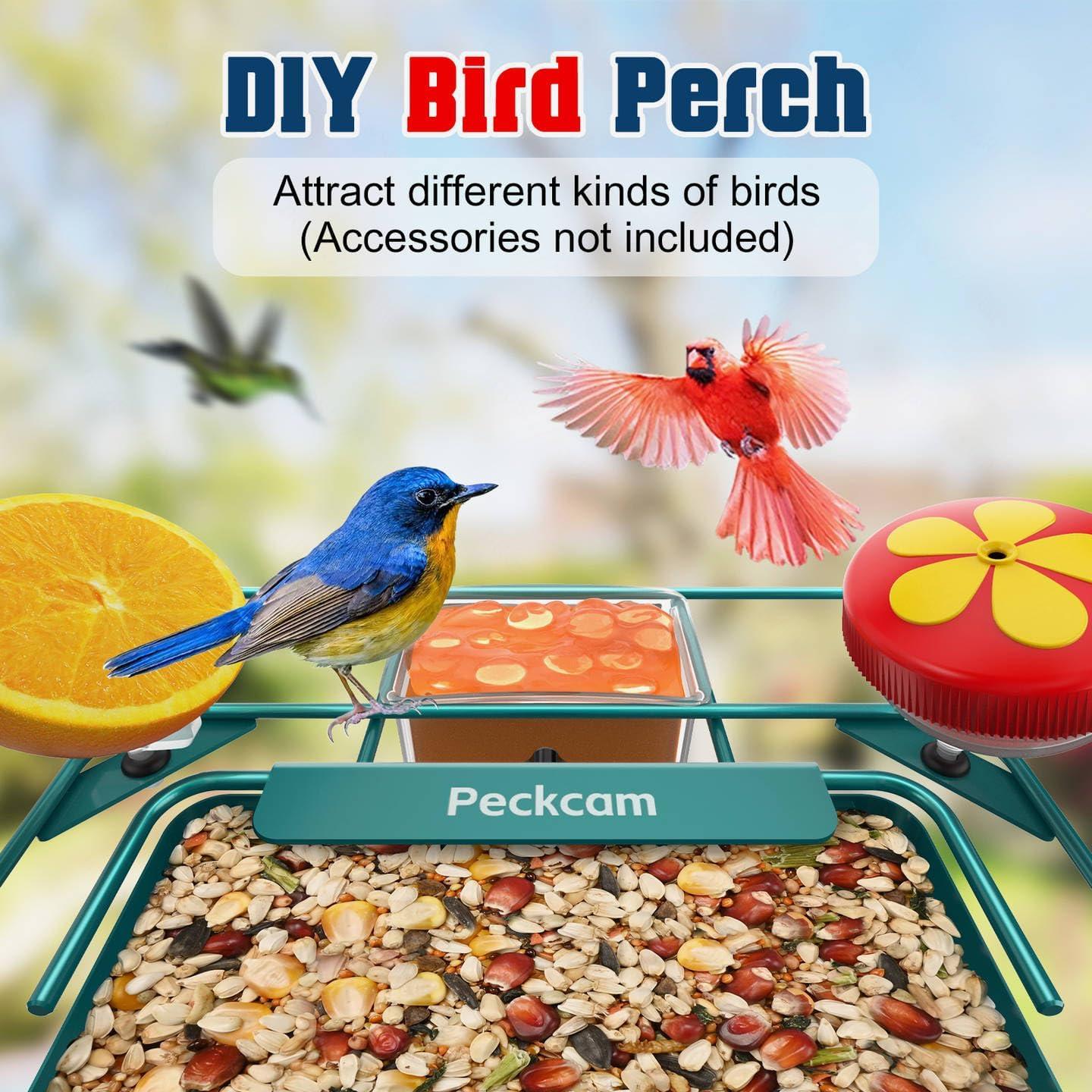 Comedero de Aves PeckCam Metal con Cámara 2K Solar