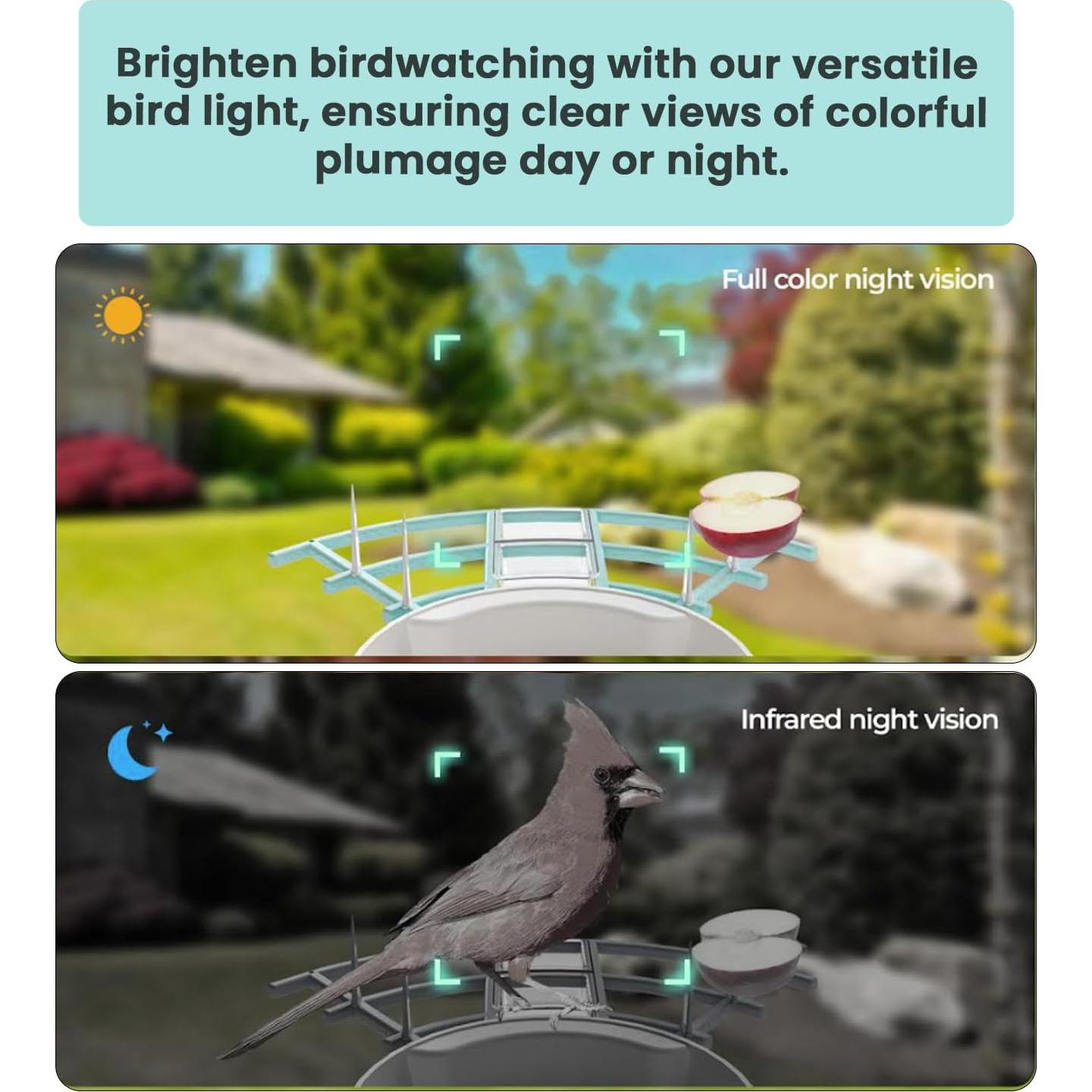 Comedero Inteligente KimLamPro 1.8L con Cámara HD y AI