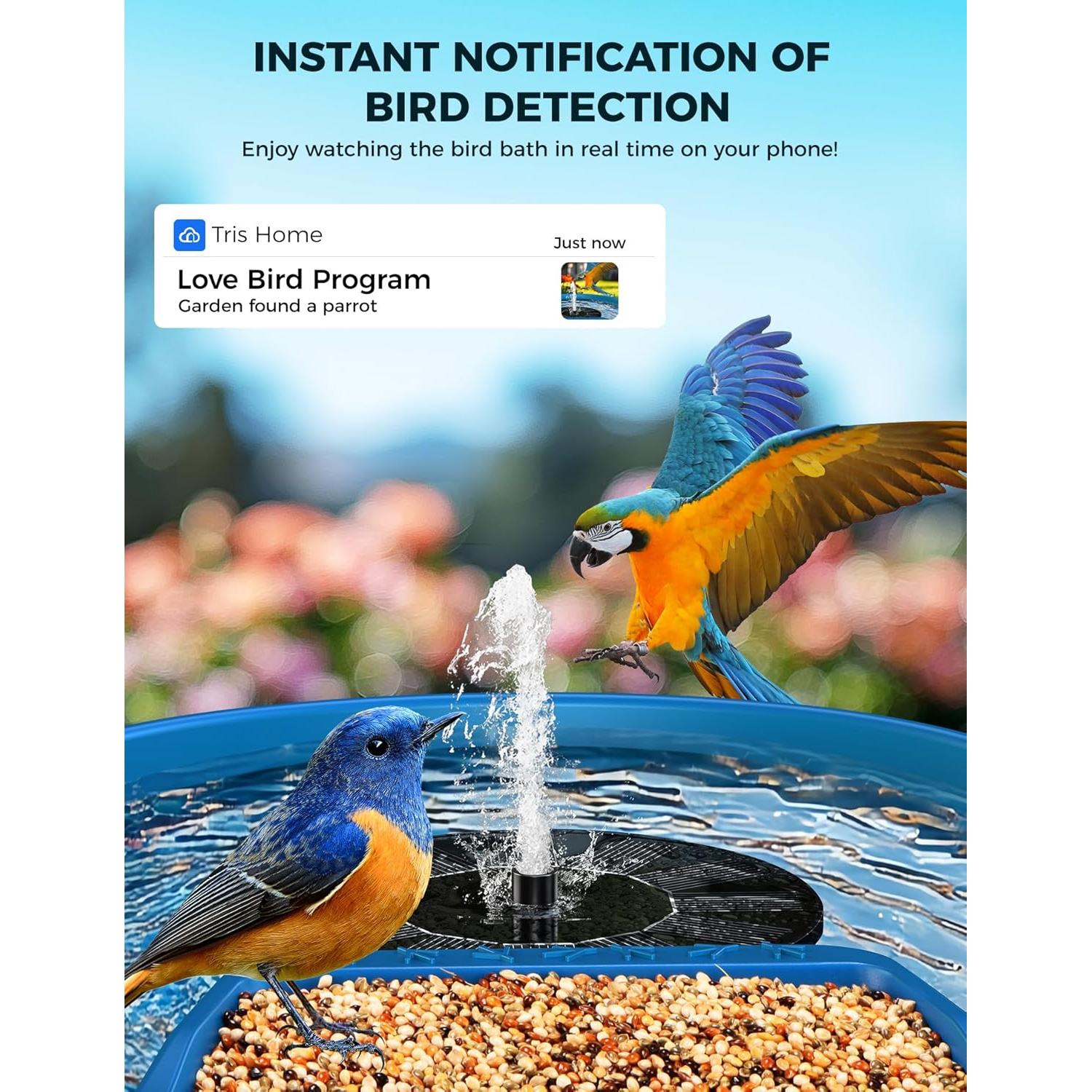 Comedero Inteligente EAST OAK para Aves 2-en-1 con Cámara 2K