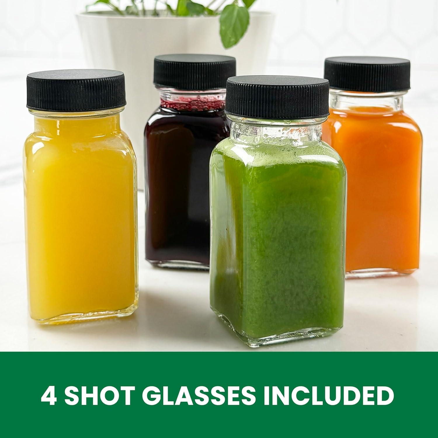 Extractor de Jugo Omega Batch 1.81 kg Prensa Fría 64 oz