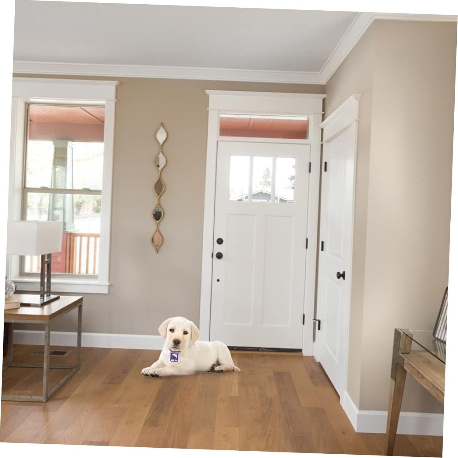 HOMSFOU Air Tag Case Pet Sleeve Protective Cover for Air Tag Silicone Easy to Install Dog Friendly