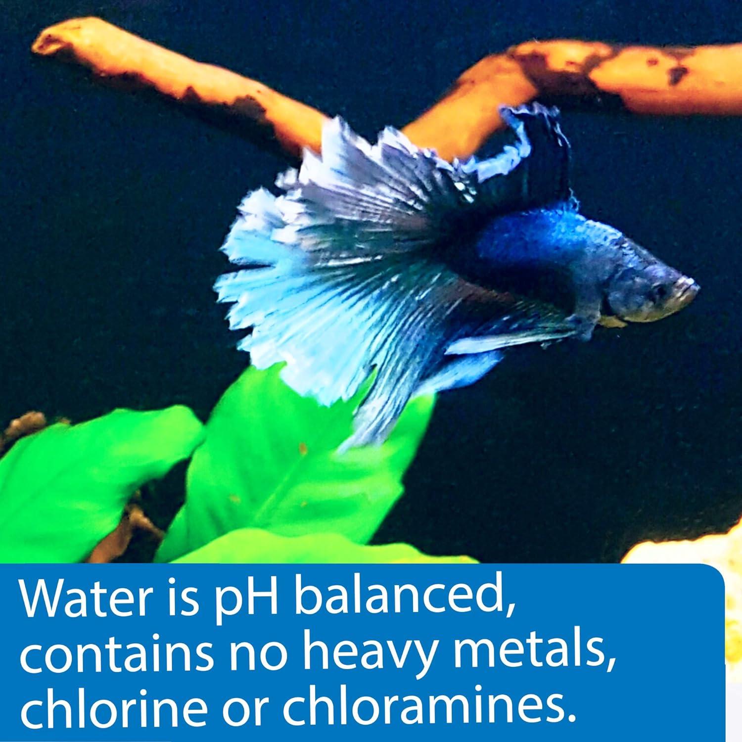 API Betta Water 1.89L Agua Precondicionada para Peces