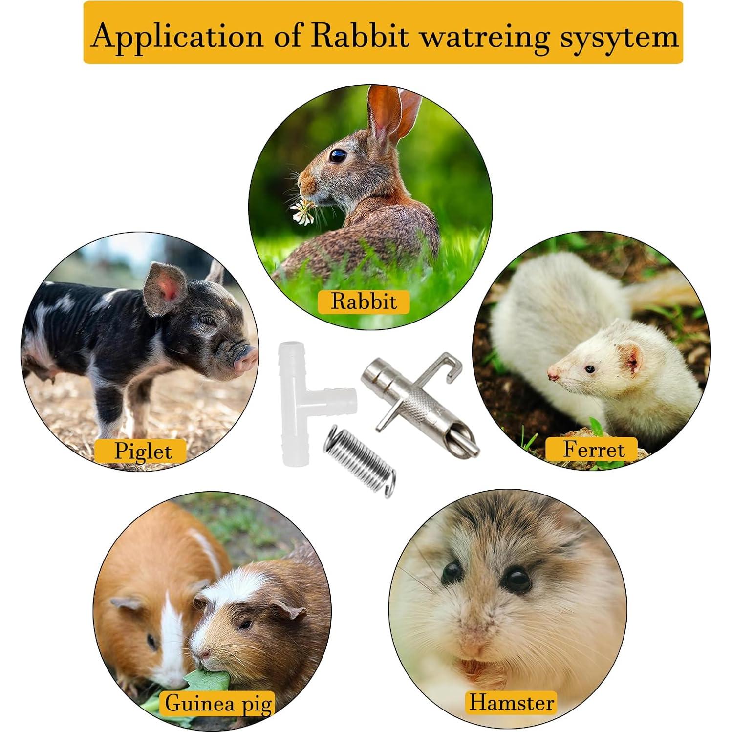 Sistema Automático de Agua para Conejos 20 Bebederos