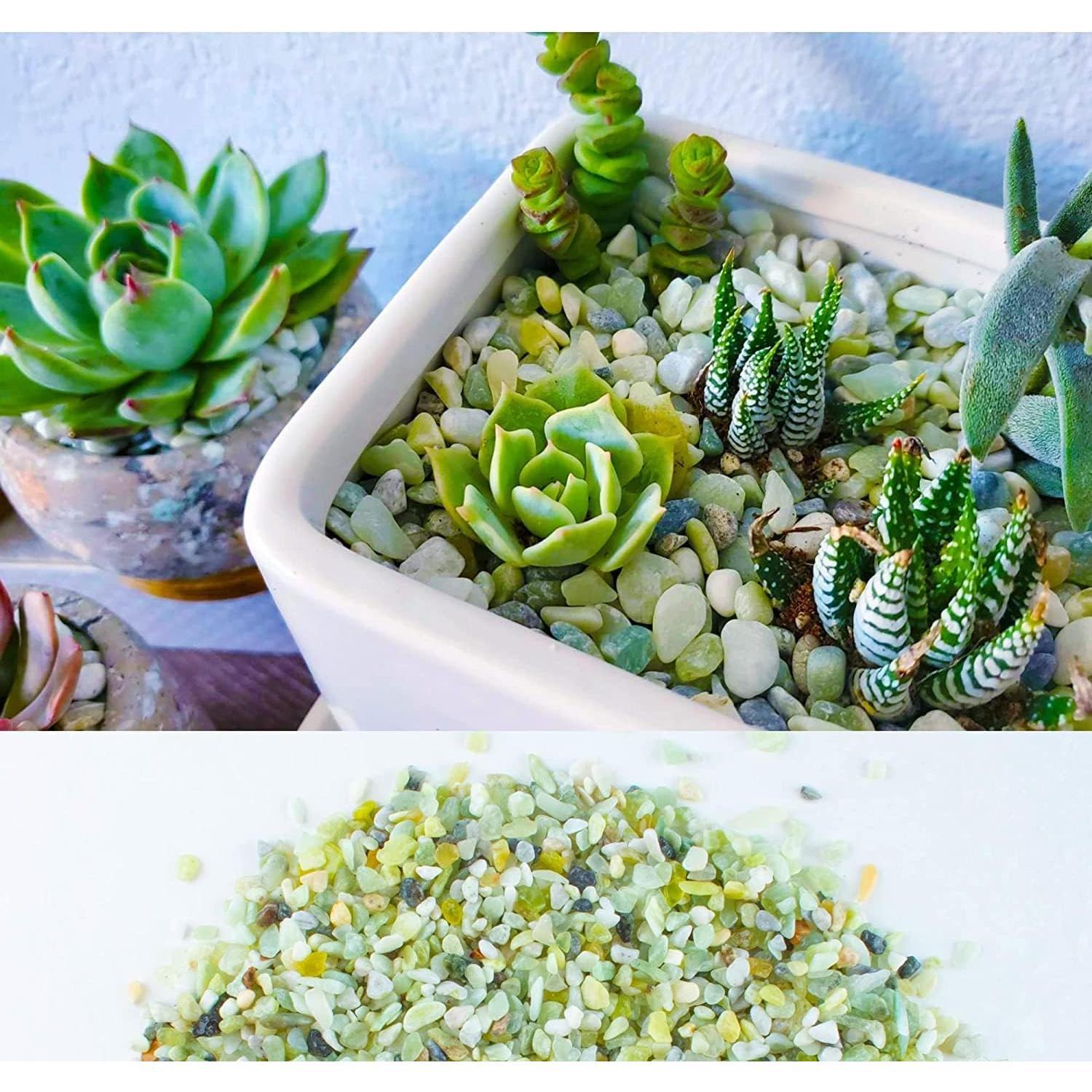 Arena Decorativa Jade 3,18 kg para Suculentas y Cactus