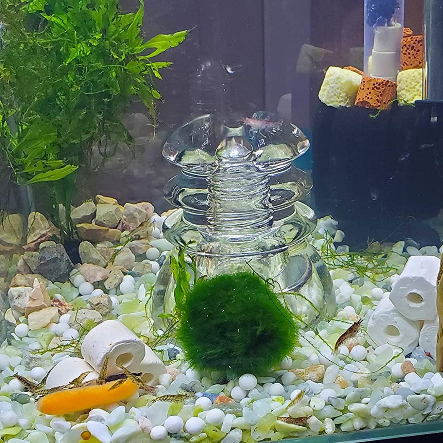 Arena Decorativa Jade 3,18 kg para Suculentas y Cactus