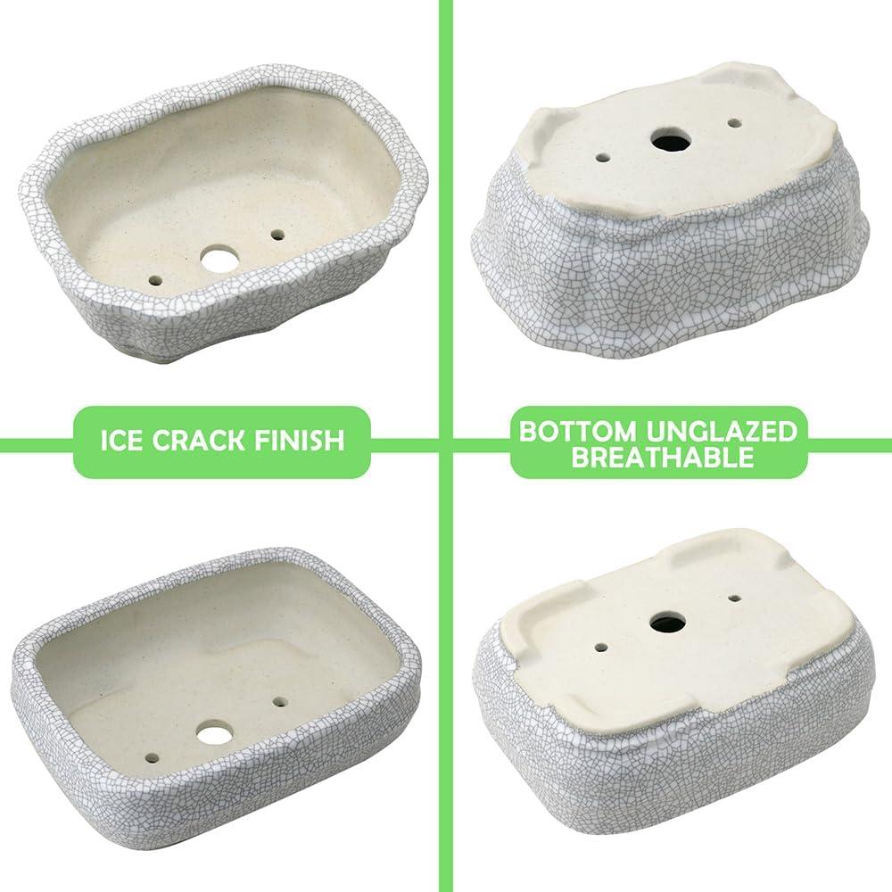 Maceta de Cerámica Craquelada Blanca MUZHI 14.7x10.7cm con Bandeja