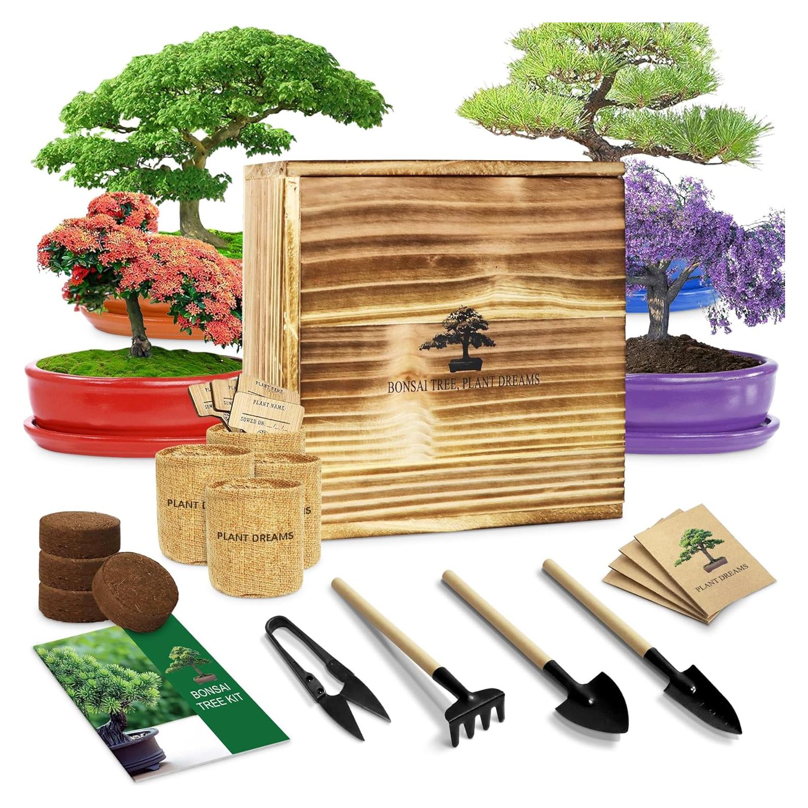 Kit de Bonsai LUOJIBIE para Principiantes y Jardinería