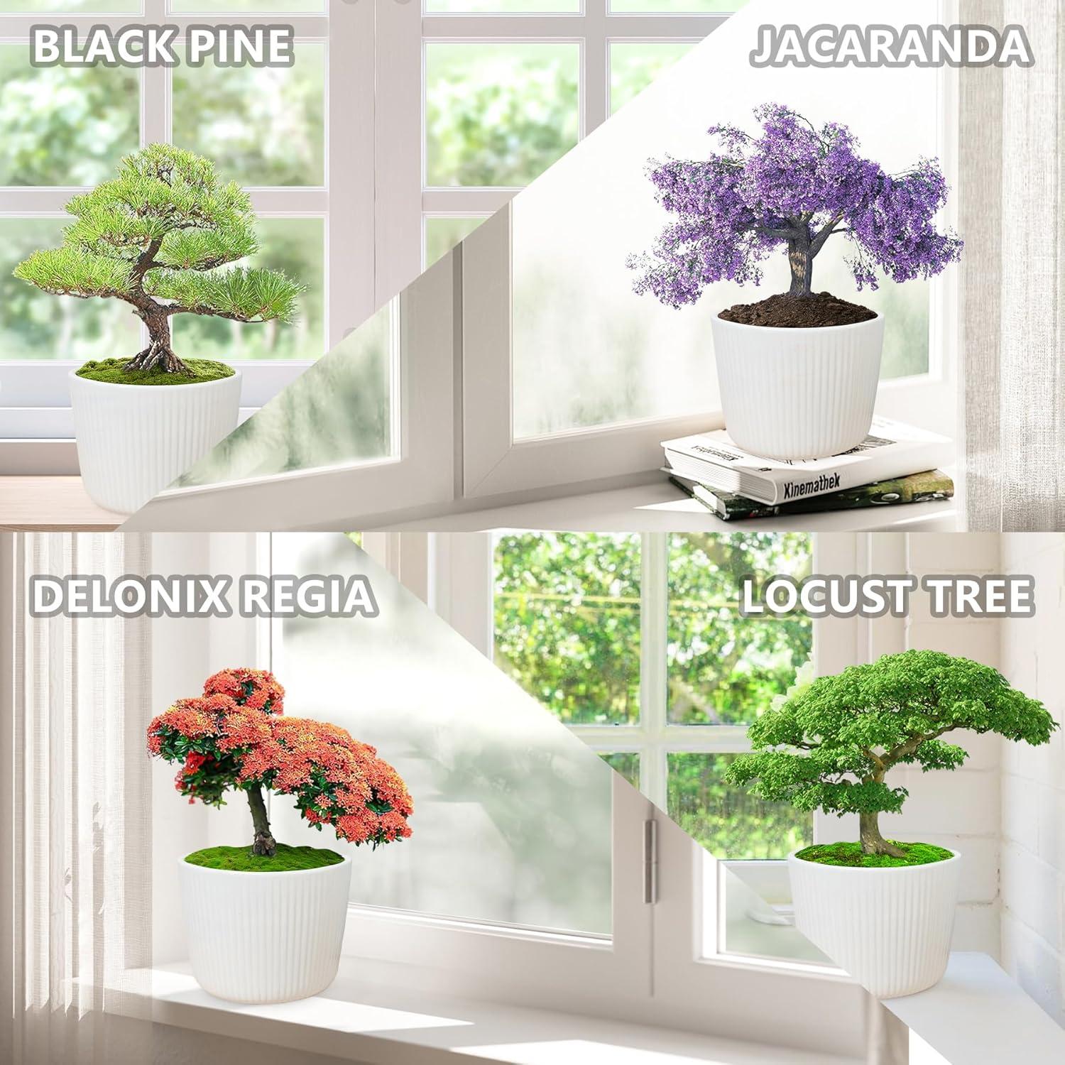 Kit de Bonsai LUOJIBIE para Principiantes y Jardinería