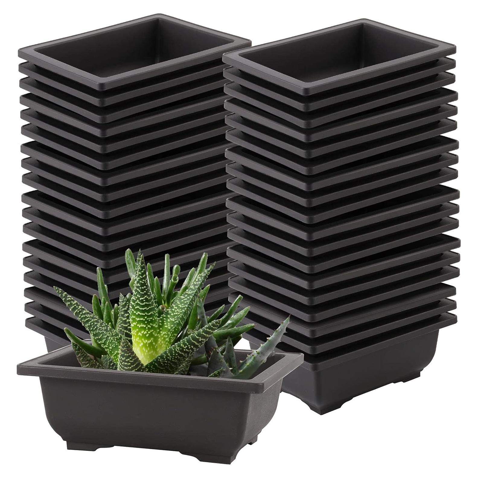 Macetas de Bonsai SEUNMUK 30 Piezas 16.5x11.9cm Plástico