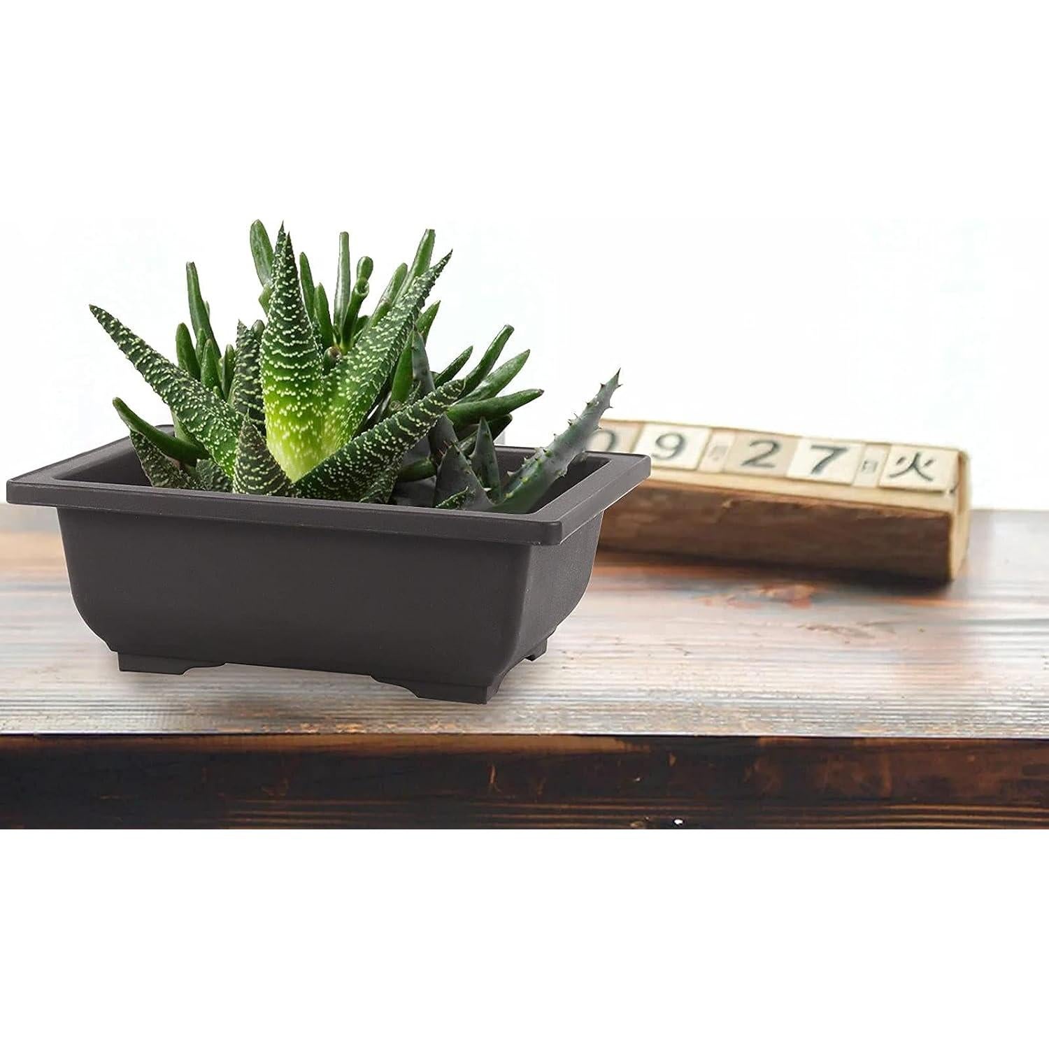 Macetas de Bonsai SEUNMUK 30 Piezas 16.5x11.9cm Plástico