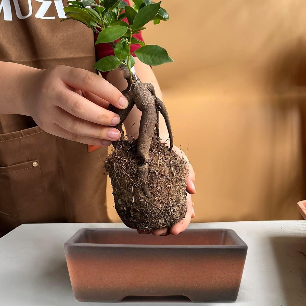 Maceta Rectangular MUZHI 2 Piezas Cerámica Drenaje 17.8cm