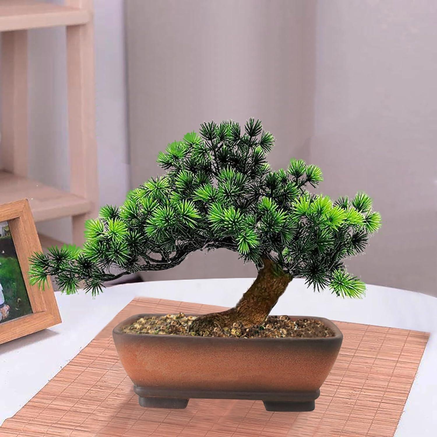 Maceta Rectangular MUZHI 2 Piezas Cerámica Drenaje 17.8cm