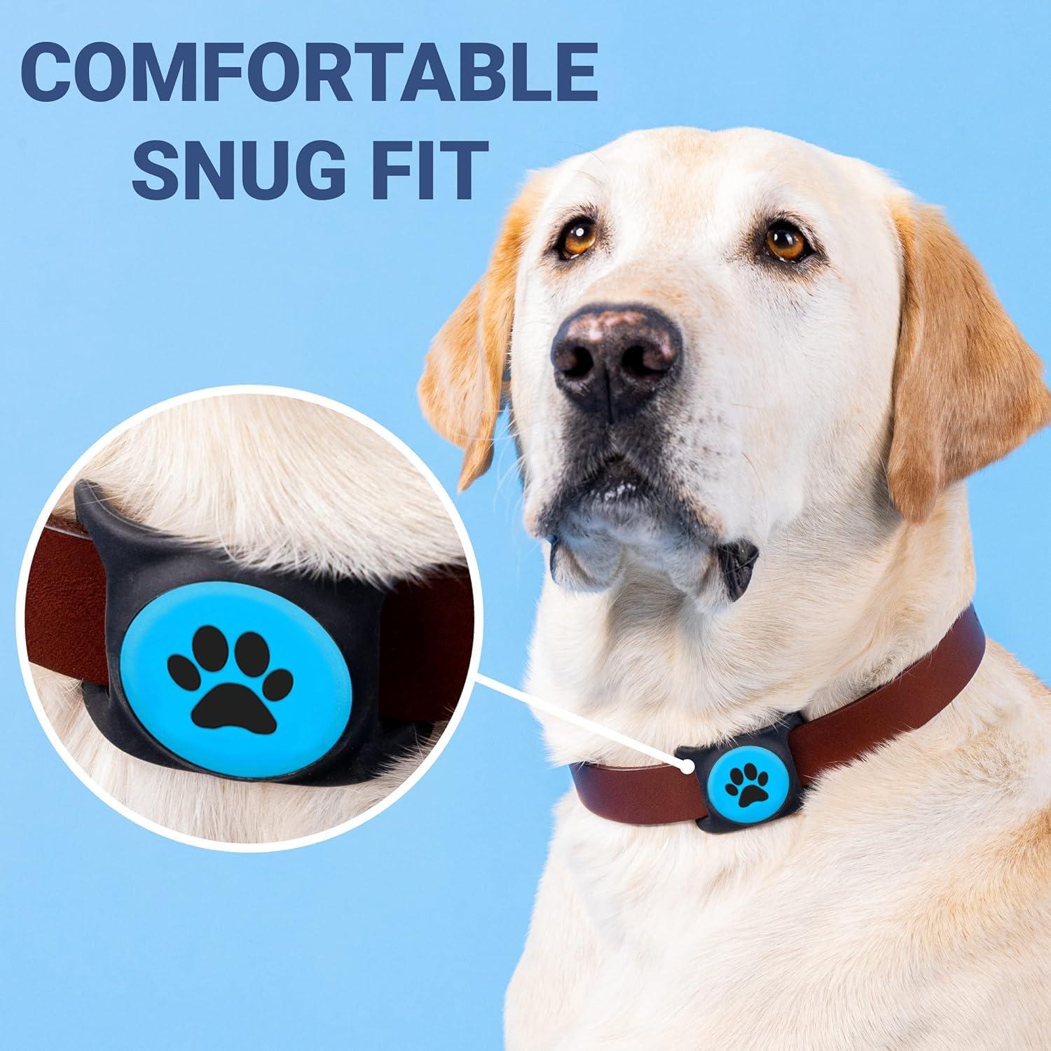 Soporte para Collar de Perro GoTags AirTag Personalizado Azul