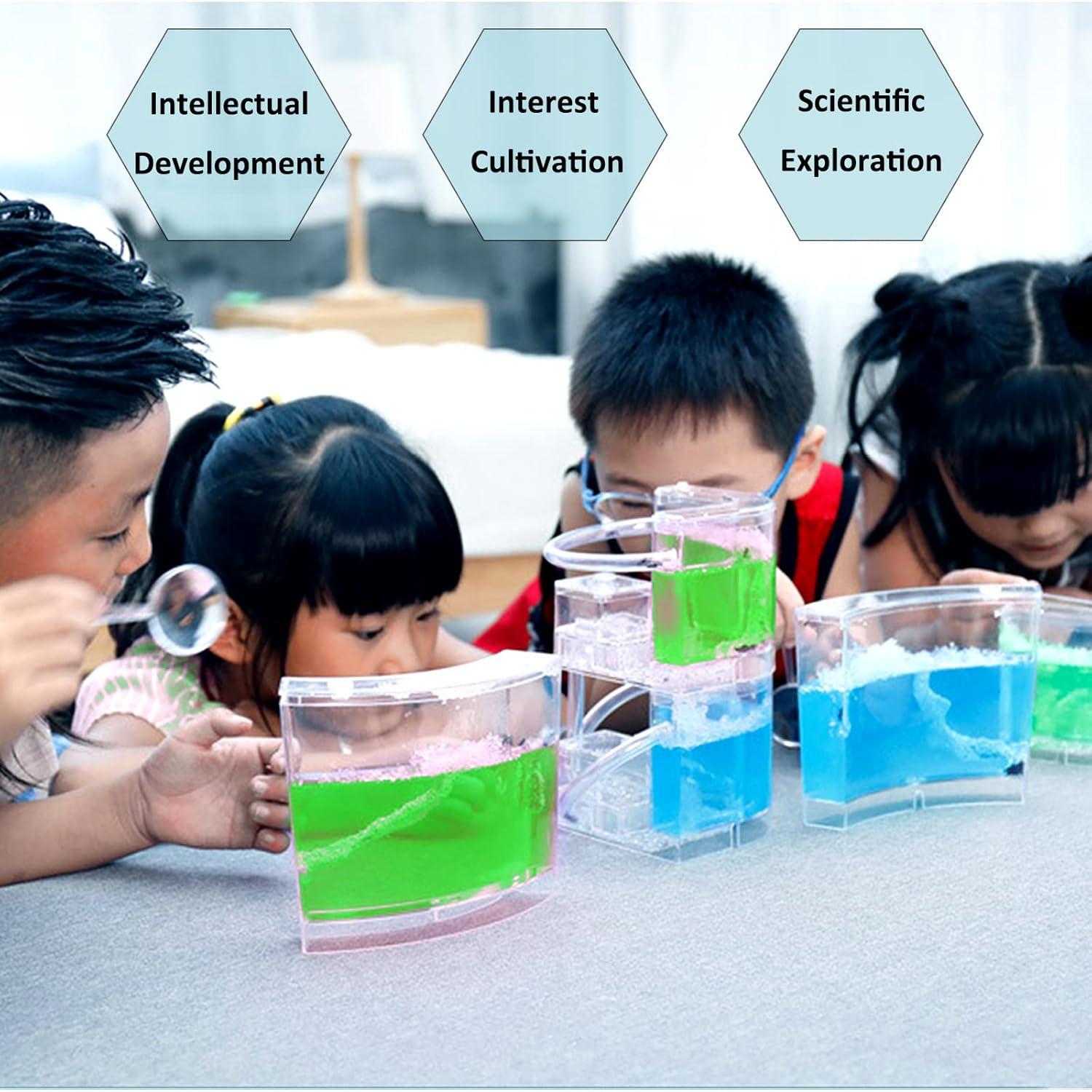 Granja de Hormigas EXBEPE Terrario Ecológico 20cm Verde