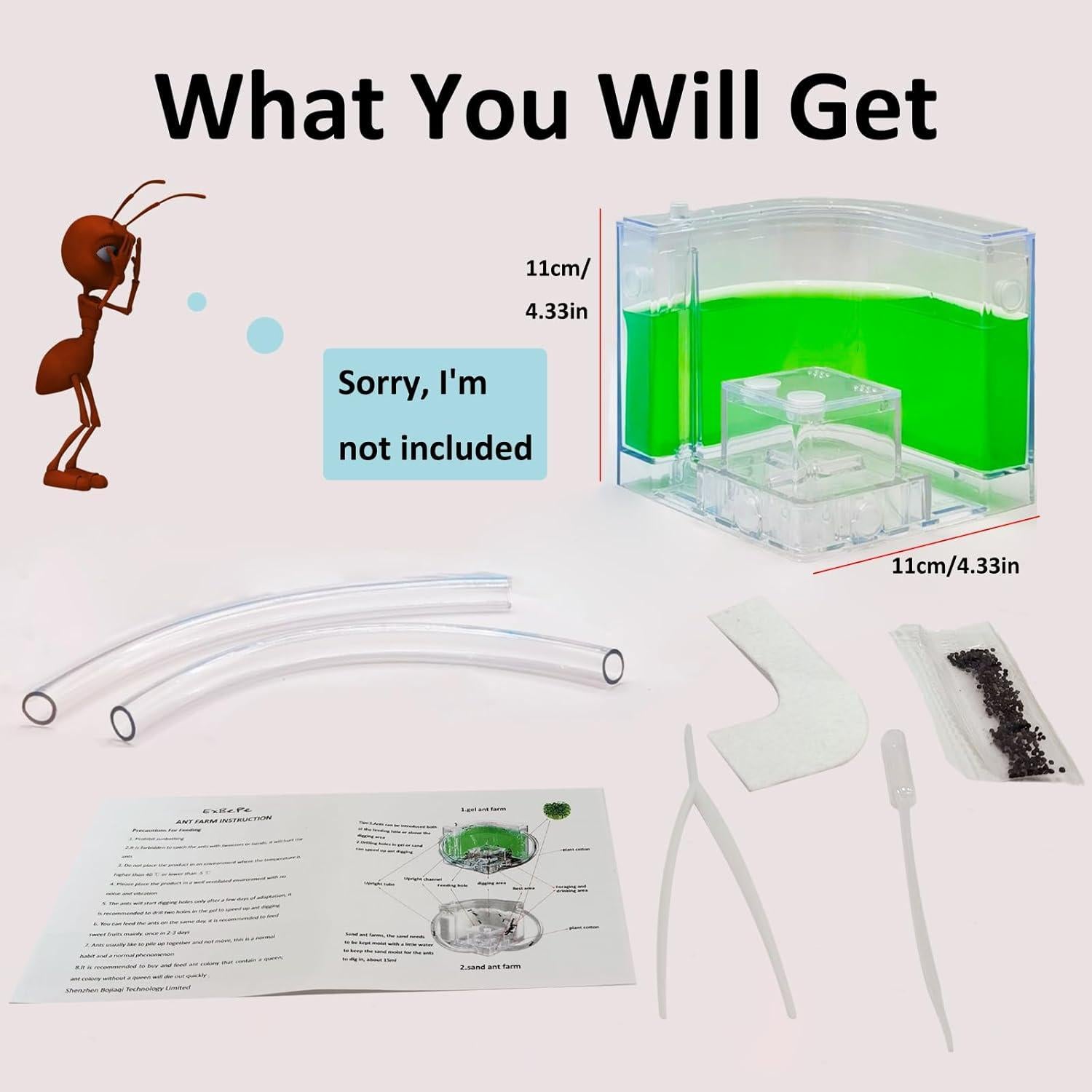 Granja de Hormigas EXBEPE Terrario Ecológico 20cm Verde