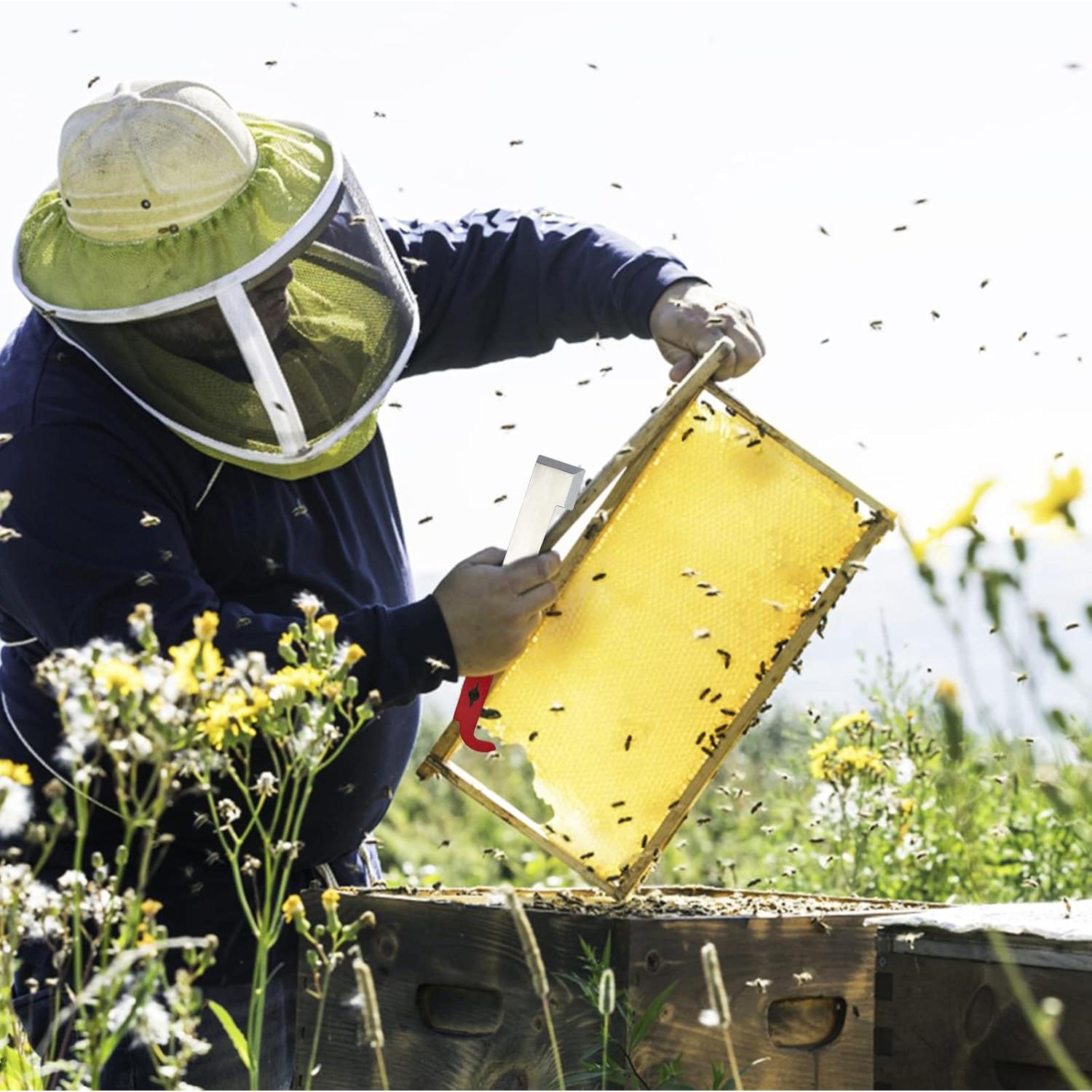 KINGLAKE J Hook de Acero para Colmena 26,67 cm Raspador