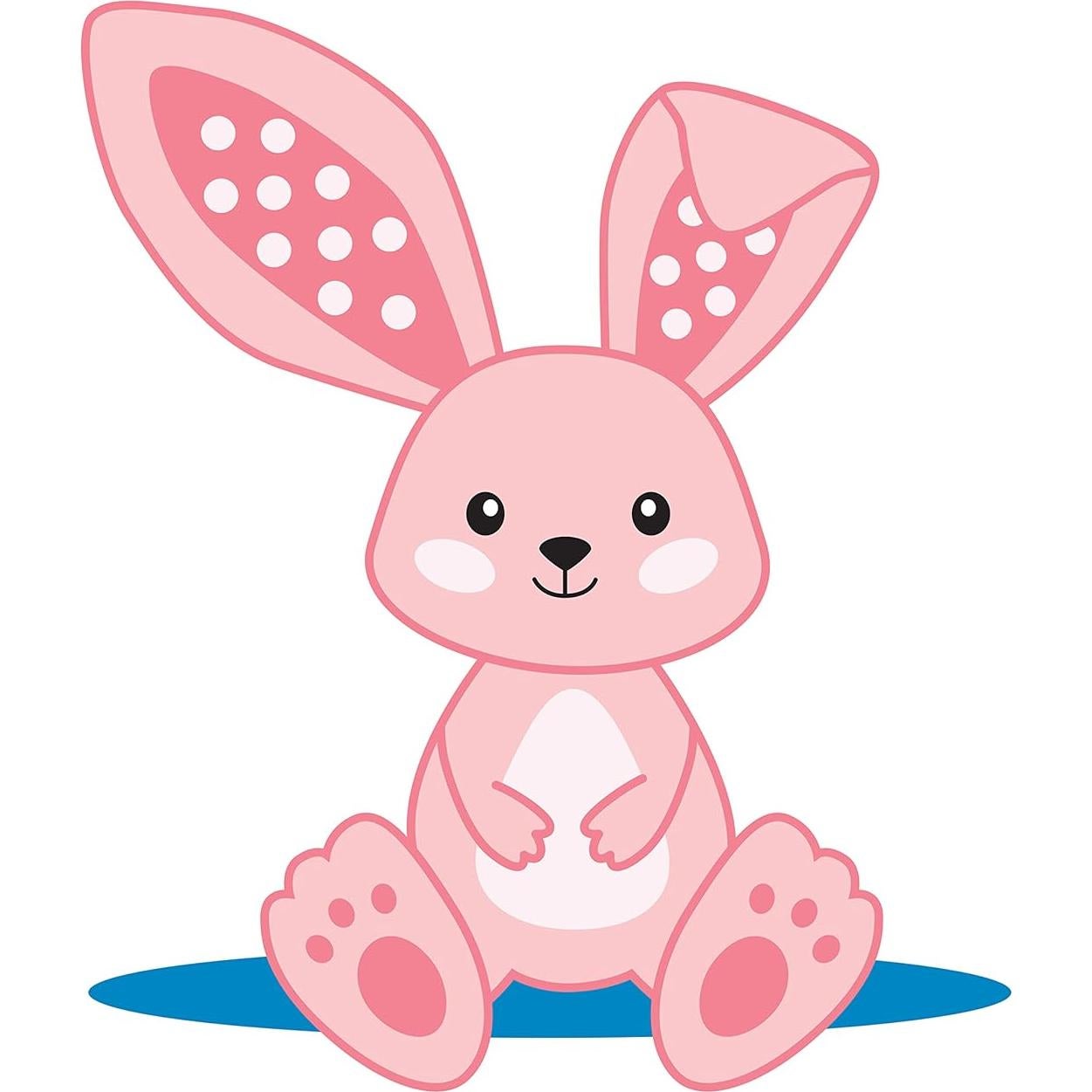 Mordedor Suave Dr. Brown's Flexees Conejito Rosa 100% Silicona 3m+