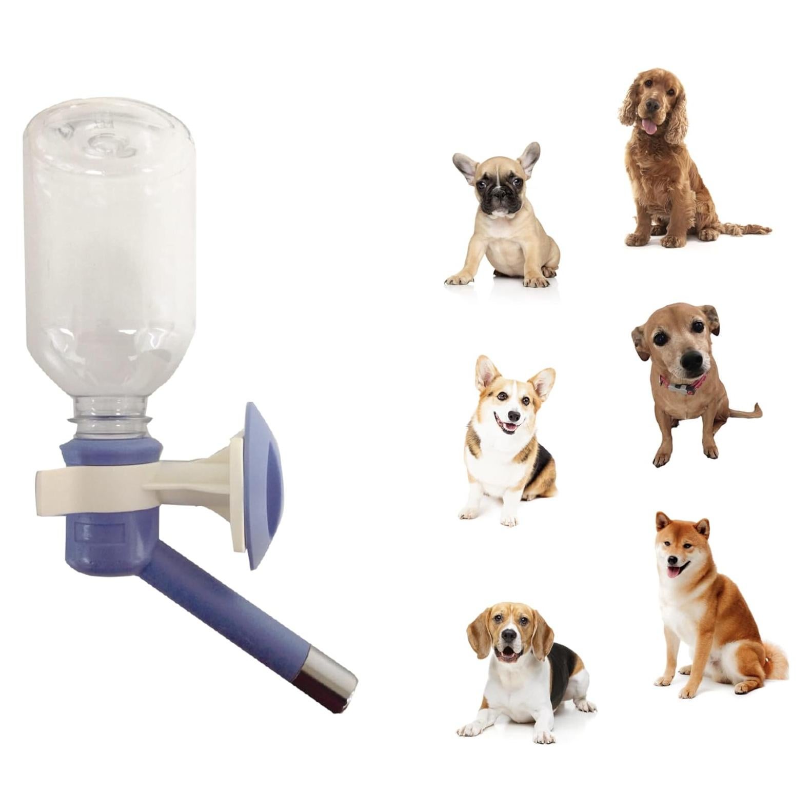 Botella de Agua Choco Nose 0.29L Sin Goteo Azul para Mascotas