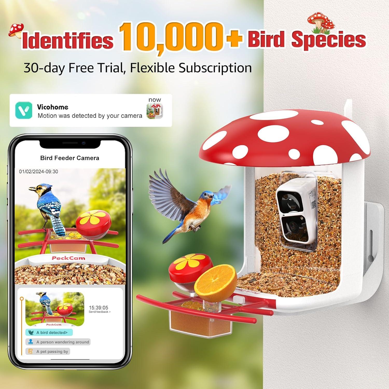 Comedero Inteligente PeckCam con Cámara 2K y Solar